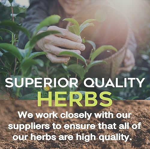 Raíz de Regaliz Raiz de Regaliz Té de Hierbas 2 oz - Hierba Natural Mexicana Hierba Wild Crafted Natural De Mexico