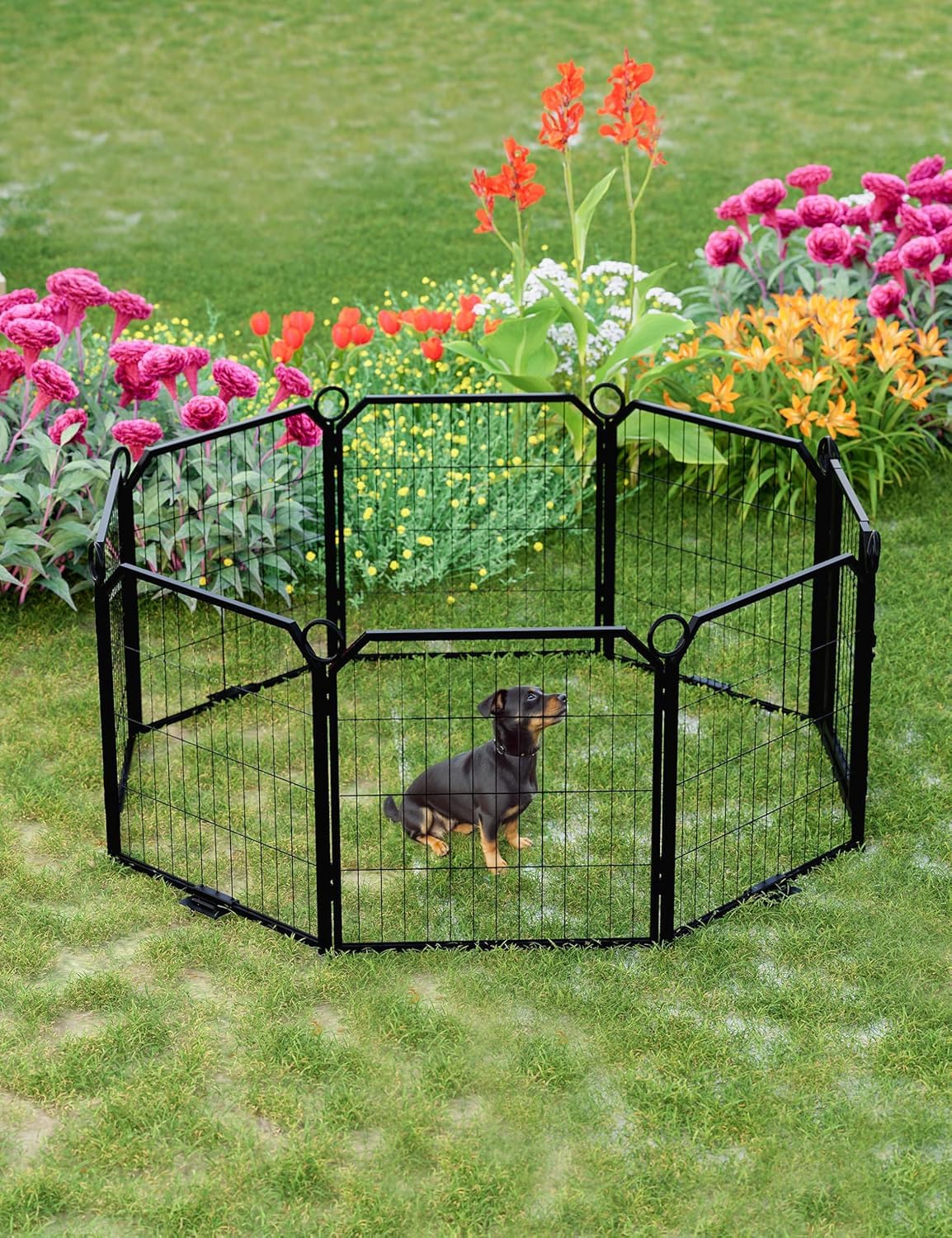 Puppy Exercise Pen FXW 8-Panel Dog Playpen - 24 Inch Height Heavy Duty ...