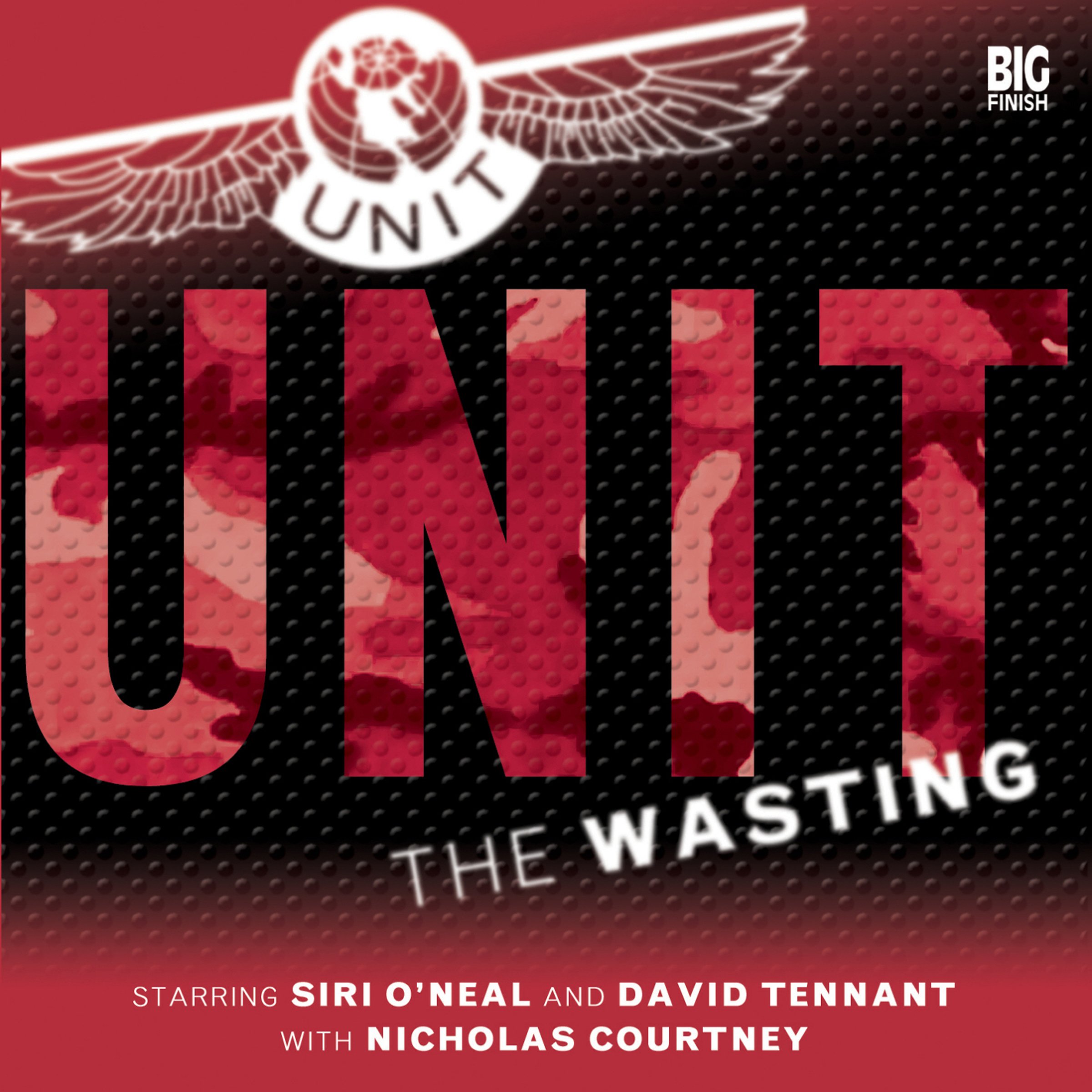 Cover art for UNIT - 1.4 The Wasting