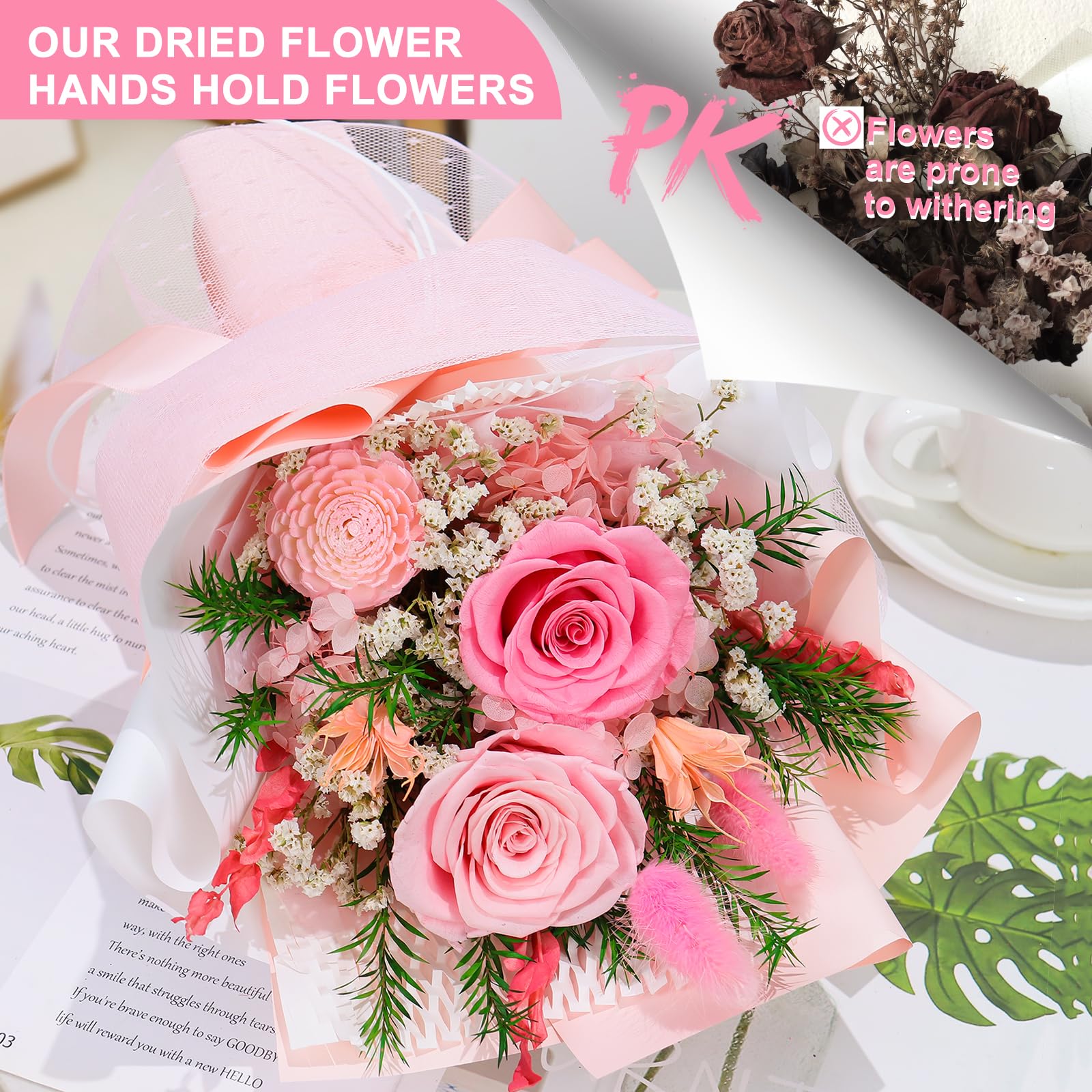 Www Rose Flowers Picture Well Watered Rosa Rose Flowers Plant, For