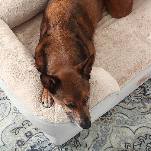 Miniatura 5 de Town & Country Everyday CuddleTown Cómodo sofá cama para mascotas, espuma de apoyo y calmante para jaula de huevos, parte inferior antideslizante,