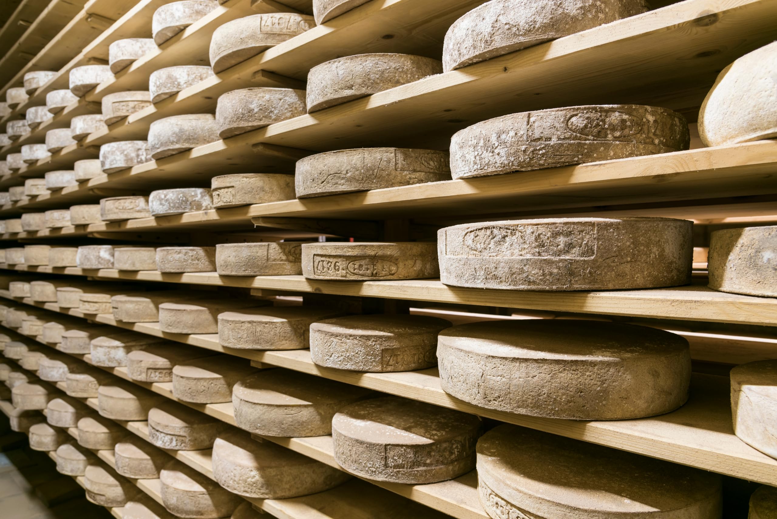 Queso Bitto DOP 400/500 g SV - Sazonado - Lácteos Producción Artesanal - Seleccionado por El Salumiero 1978