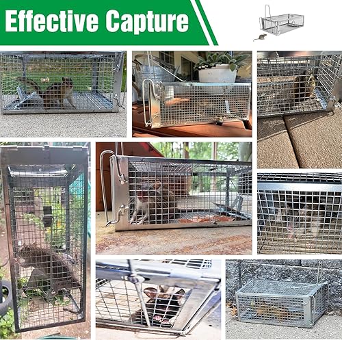 Miniatura 7 de Trampa Humana para Ratas - Atrapa y Libera Ardillas Listadas, Ardillas, Ratas y Ratones, Trampa para Ratones Vivos para Uso en Interiores y
