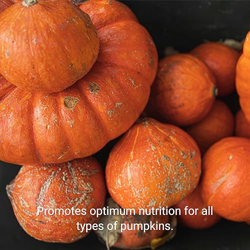 Miniatura 4 de Fertilizante líquido profesional de calabaza  Concentrado 5-1-5 para plantas de calabaza  Mezcla multiusos y suministros de jardinería  Botella de 8