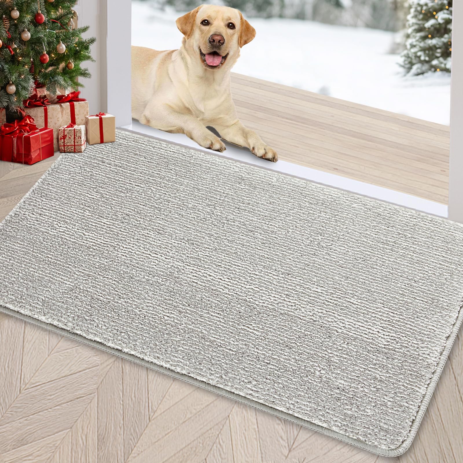 REFETONE Indoor Doormat, Front Door Mat 20"x32" Absorbent Rubber Backing Non Slip Back Door Mats, Washable Low-Profile Inside Floor Mat Door Rugs for