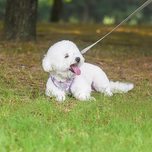 Miniatura 4 de JOYPAWS Step in - Juego de arnés y correa para perro, arnés de chaleco suave de verano con estampado floral, reflectante ajustable sin tirones,