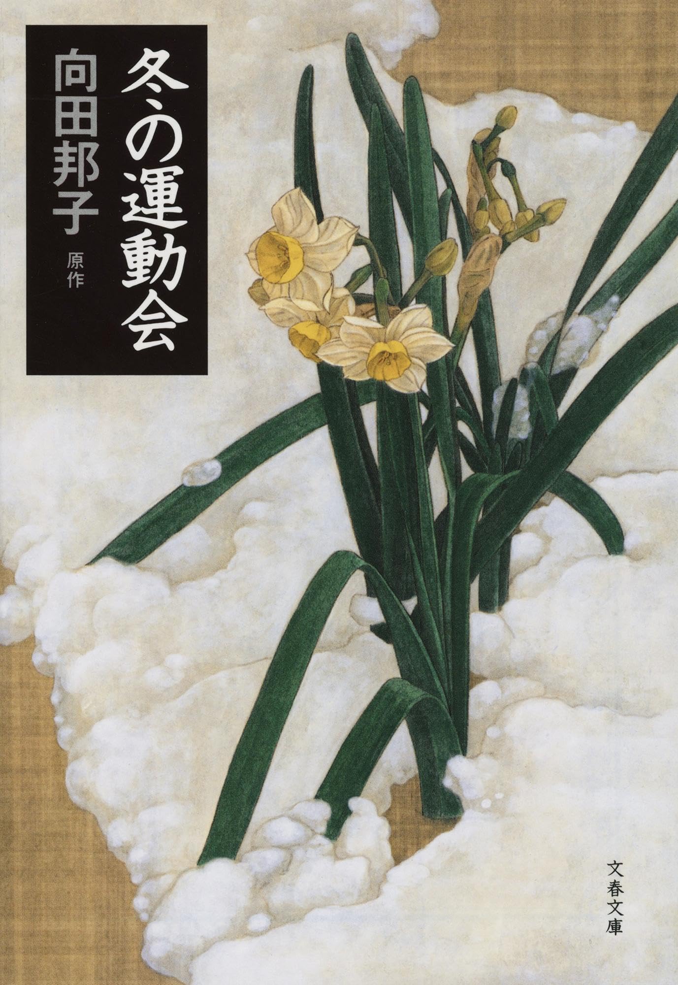 冬の運動会 (文春文庫 む 1-15) | 向田 邦子 |本 | 通販 | Amazon