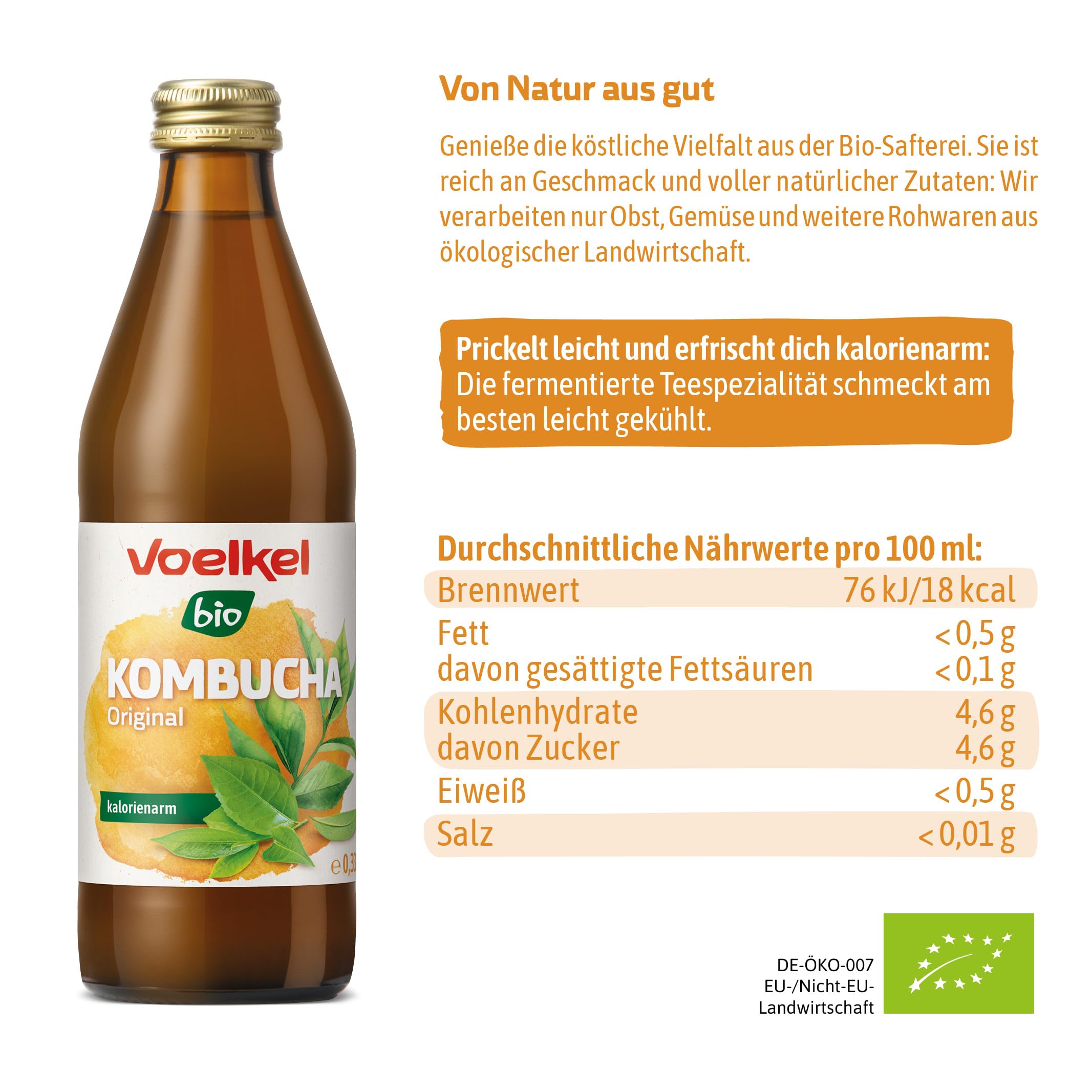 Voelkel Kombucha Original 330ml 12er-Pack | Regionale Bioqualität, Aus Deutschland