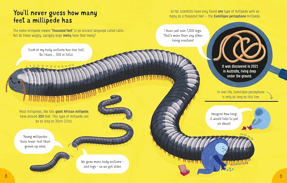 Lots of Things to Know about Bugs: Hull, Sarah