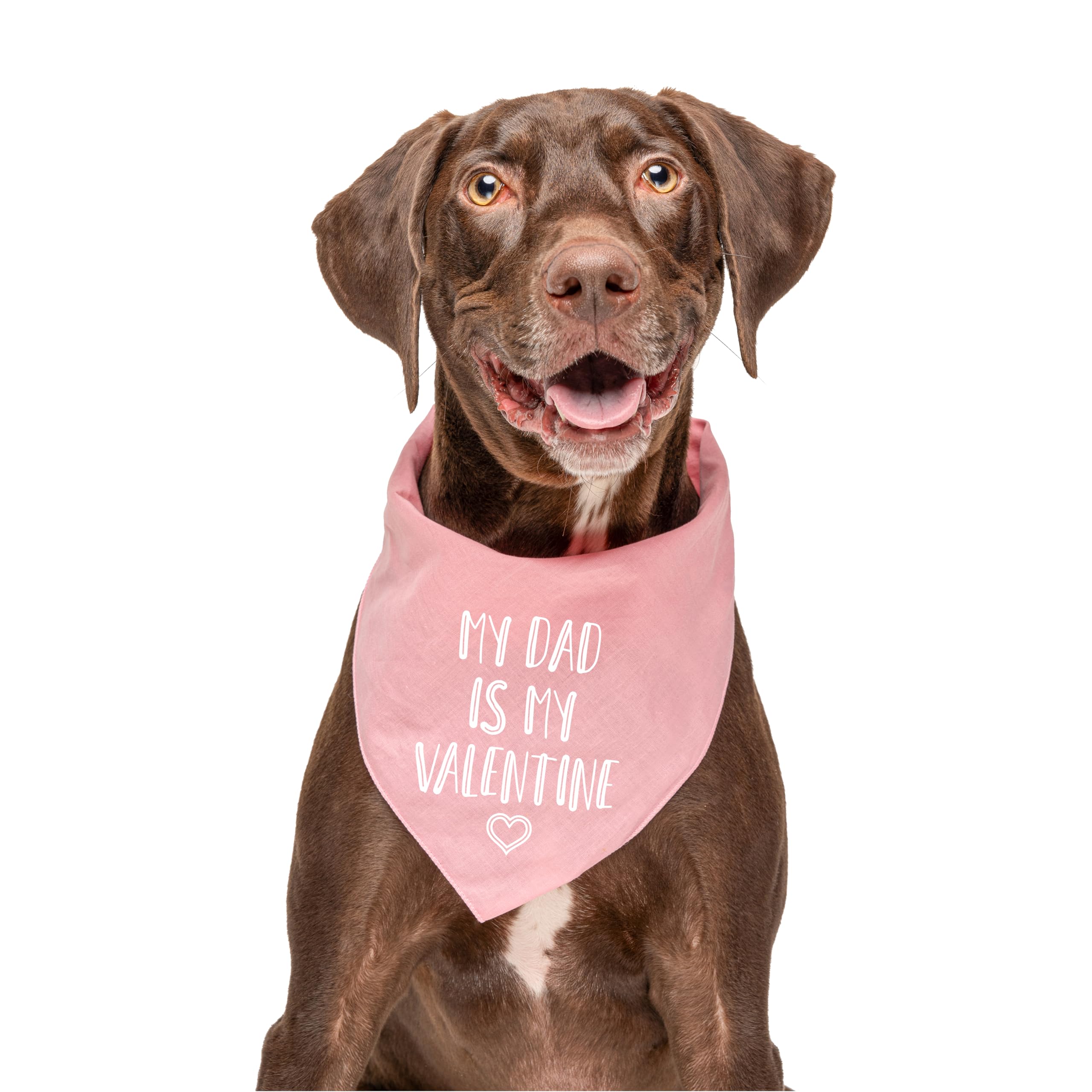 My Dad is My Valentine Valentine's Day Dog Bandana (15 Hot Pink, One Size)