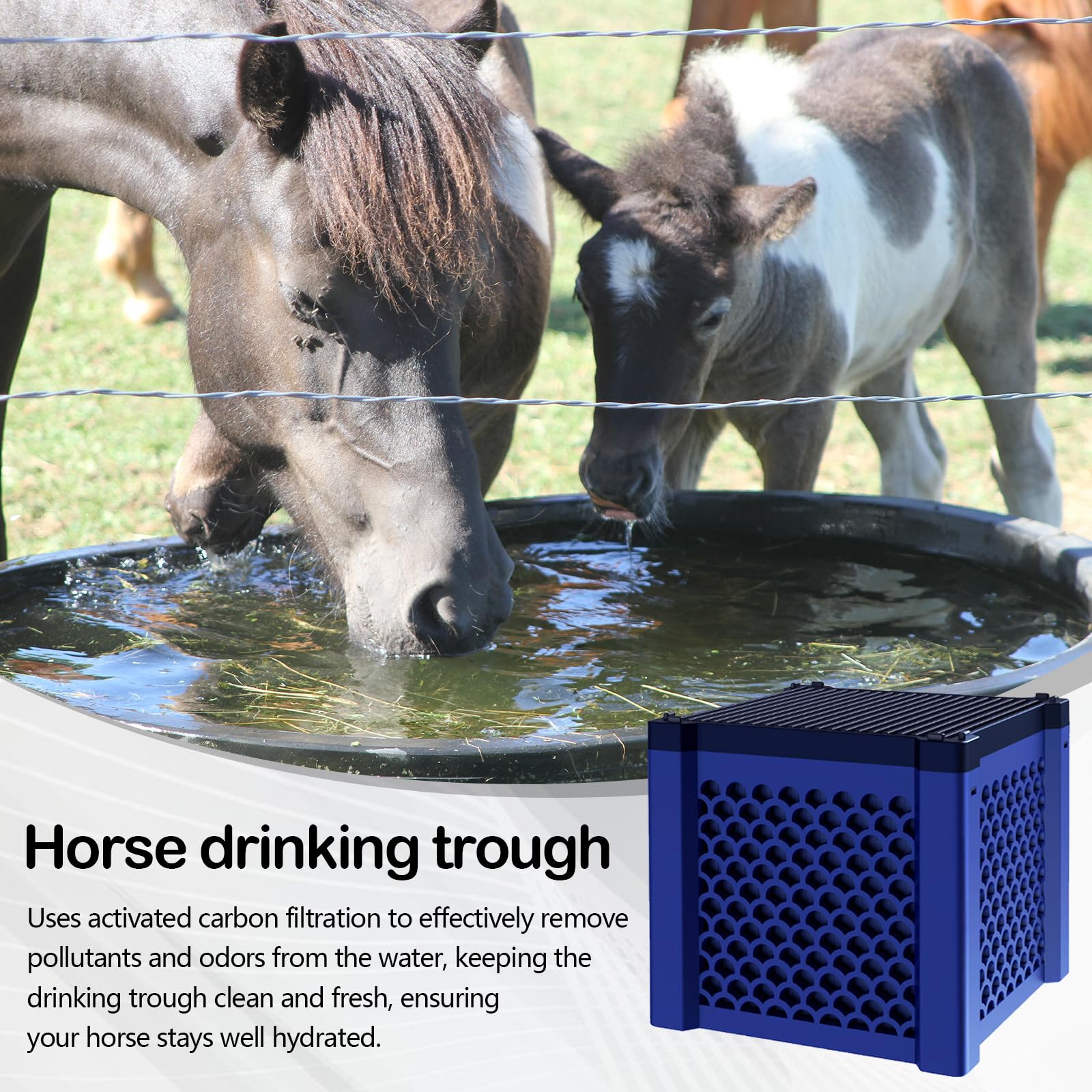 Set di 2 Cubetti Filtranti a Carbone Attivo, per Abbeveratoi per Cavalli Acquario e Laghetti, Filtro per Purificazione di Contaminanti e Odori, Filtro a Carbone Attivo per Purificazione dell'acqua