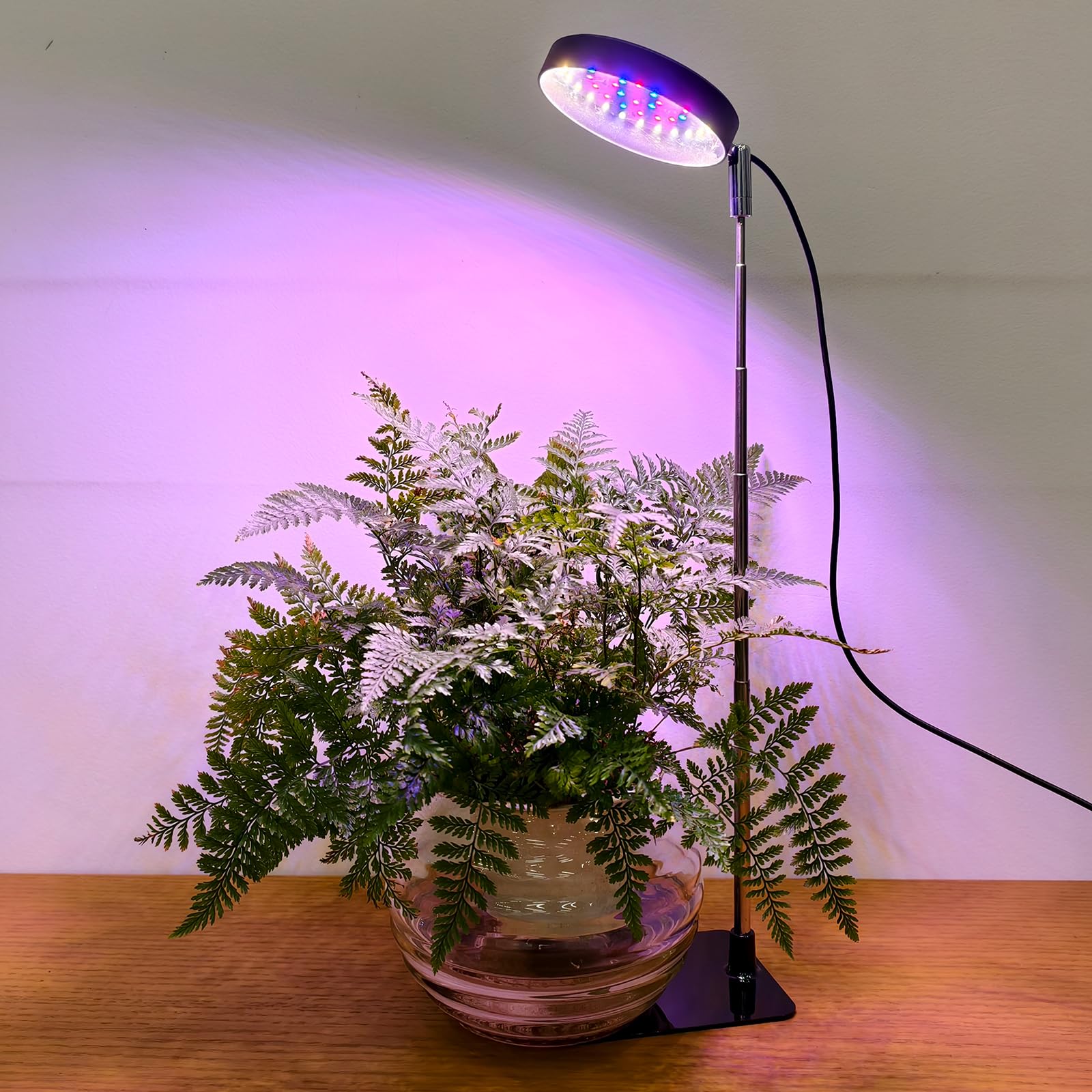 Nzwbshssp Black Grow Light For Indoor Plants Full Spectrum 10 Level Brightness Dimming 3 Cycle Timer Mode 6.7-24.8 Inch Height Adjustable And 180° Rotatable Pole Led Grow Light(Black)