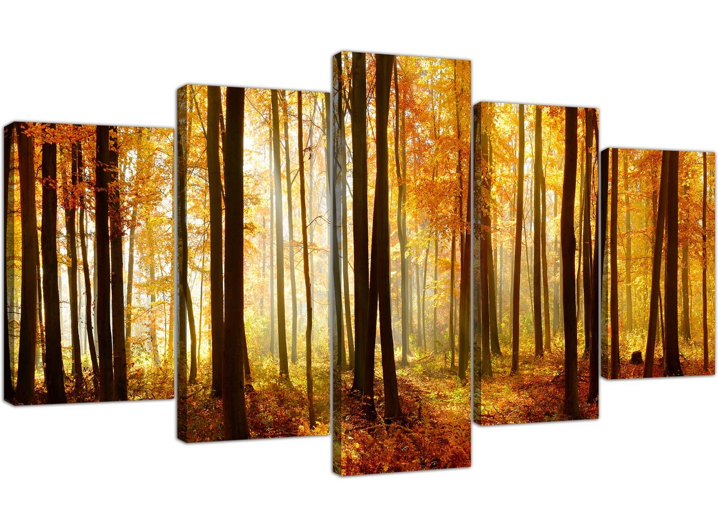 Wallfillers Extra Large Orange Forest Woodland Trees Canvas Pictures - Set of 5 Part Canvases - 5243