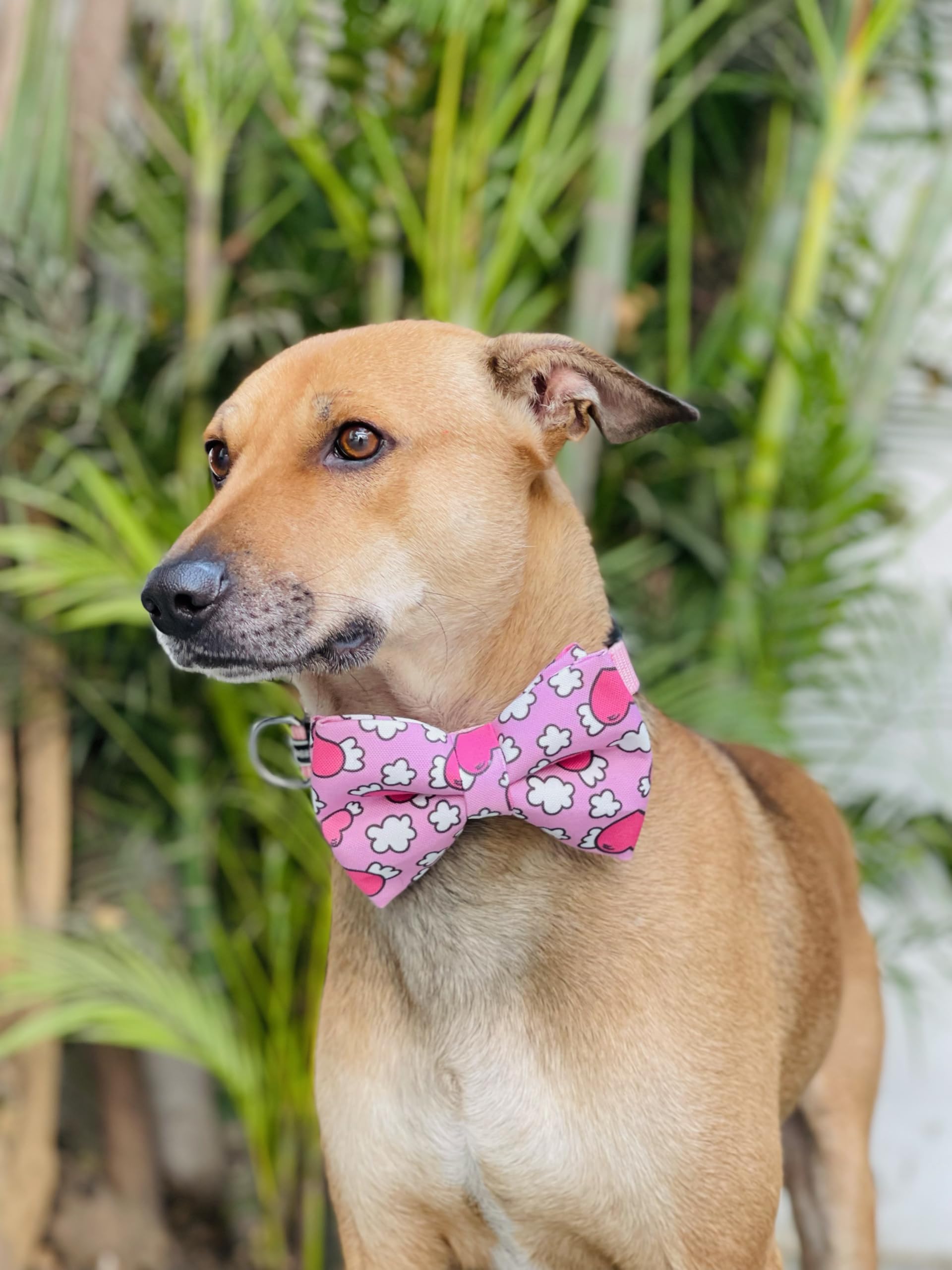 valentine's day dog bow tie