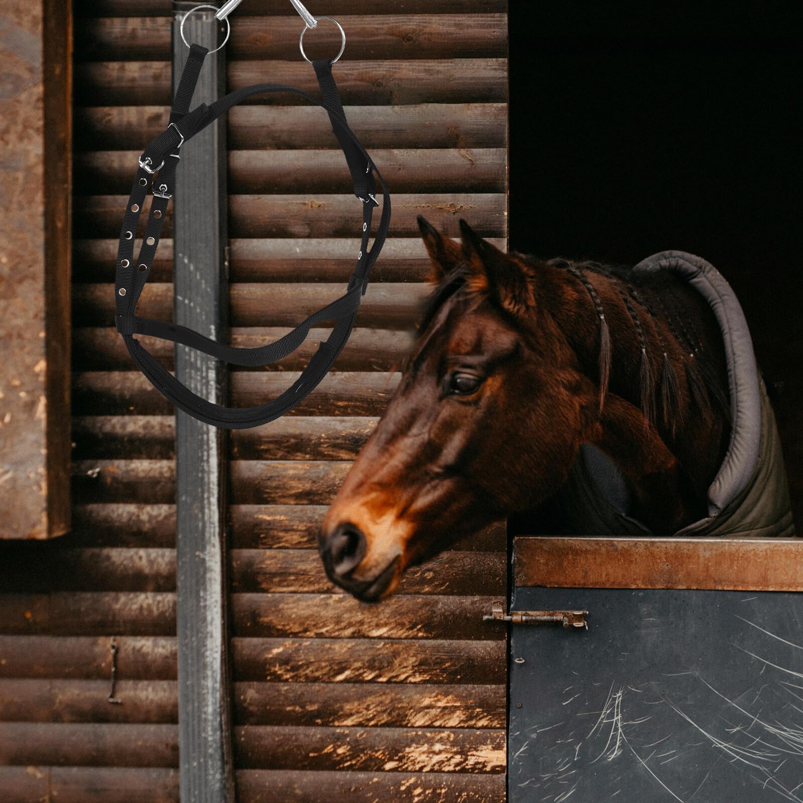 Alasum Cavezza per Cavallo in Nylon Nero Regolabile Design Anti-morso e Redini Comode per Addestramento Equestre di Cavalli e Cavallini Piccoli