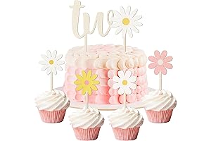 5pcs Daisy Flower Cake Toppers Groovy Painted Colorful Two Cake Toppers