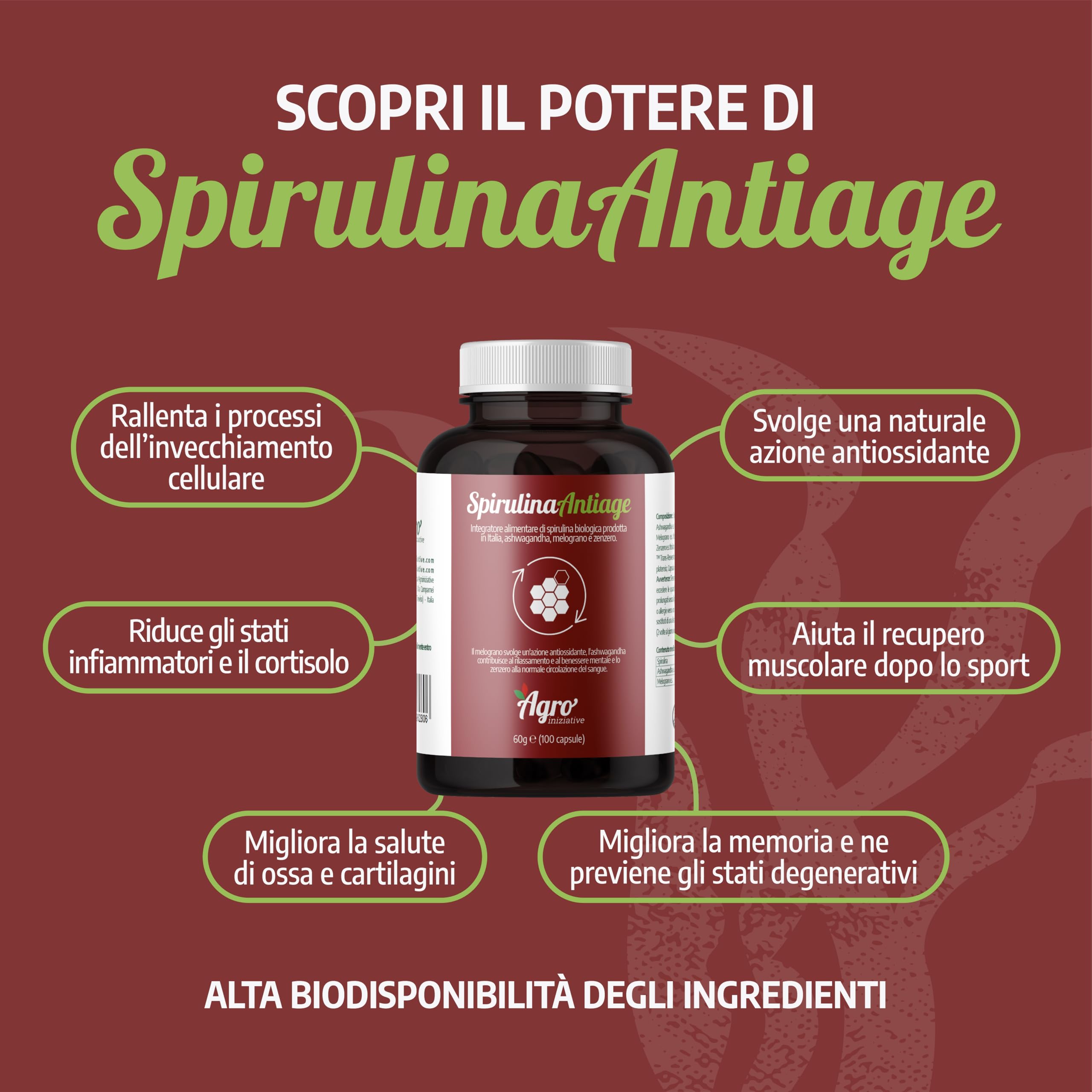 AGROINIZIATIVE SPIRULINA ANTIAGE 100 Cps 60 G Alga Spirulina Bio Senza Glutine Senza Iodio Combatte Radicali Liberi e Ossidazione Con Ashwagandha Zenzero Ficocianina Resveratrolo PRODOTTA IN ITALIA