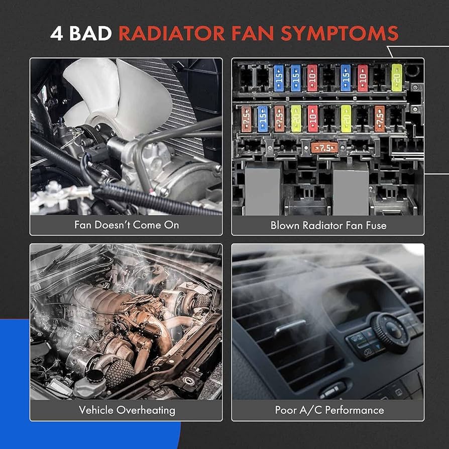 らがまふぃん  L LUXXE (2025年春夏新製品)がまかつ/ラグゼ ロックコードリール