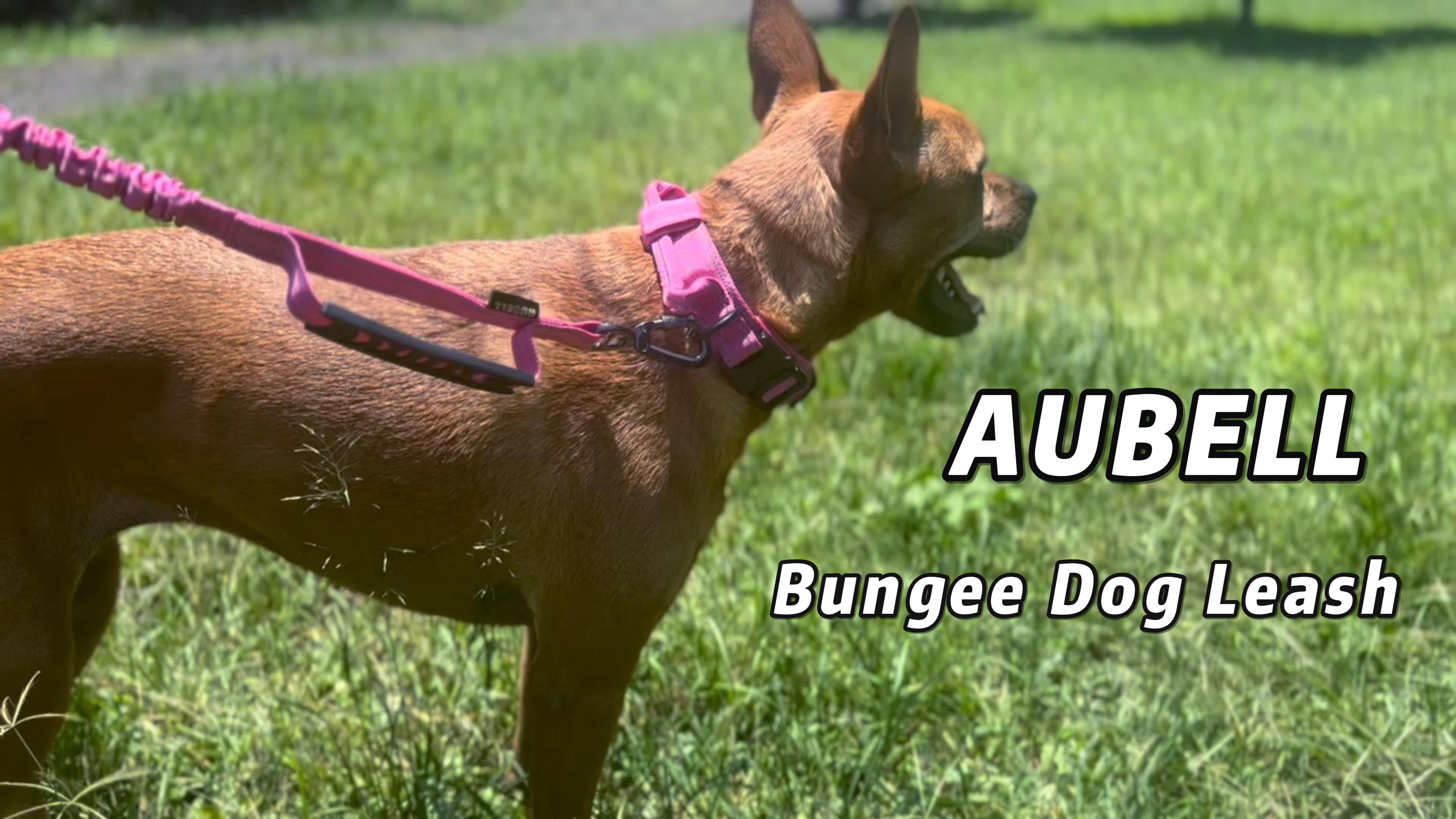 Dog Leash, 4.5FT Strectable Waist Belt Leash, Reflective Running Belt Leash, with Paded Handle, Metal Clasp, for Training, Hiking, Touchdog ® \u0027Macaron\u0027 2-in-1 Durable Nylon Dog Harness and Leash