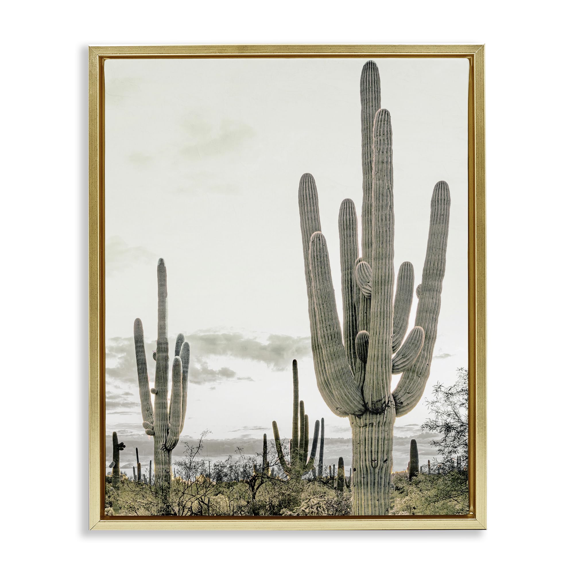 Subdued Desert Cacti Landscape, 24 x 30 Inch Canvas in Floater Frame
