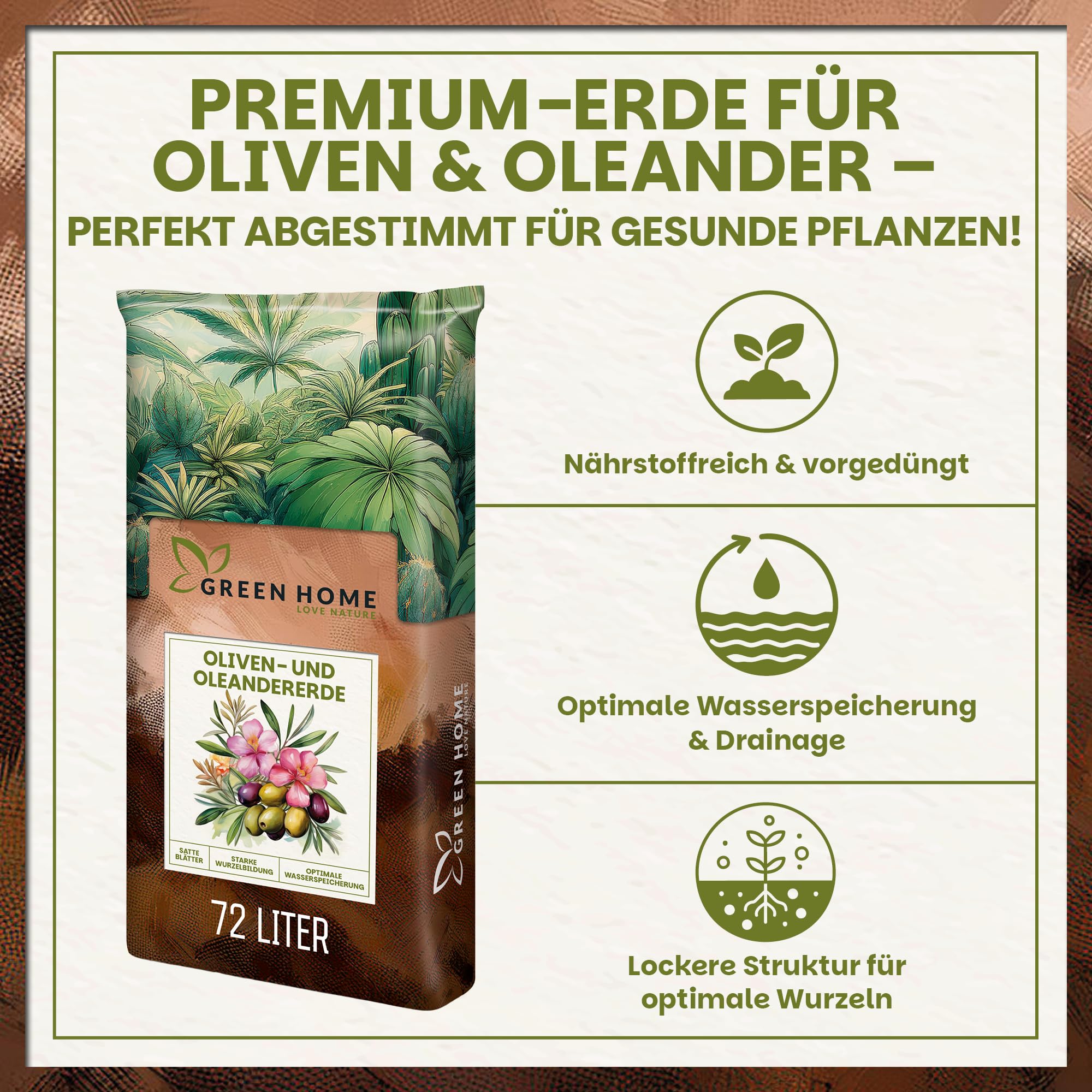größter olivenbaum Großer Olivenbaum, 100-110cm – Green Me Up main image 0