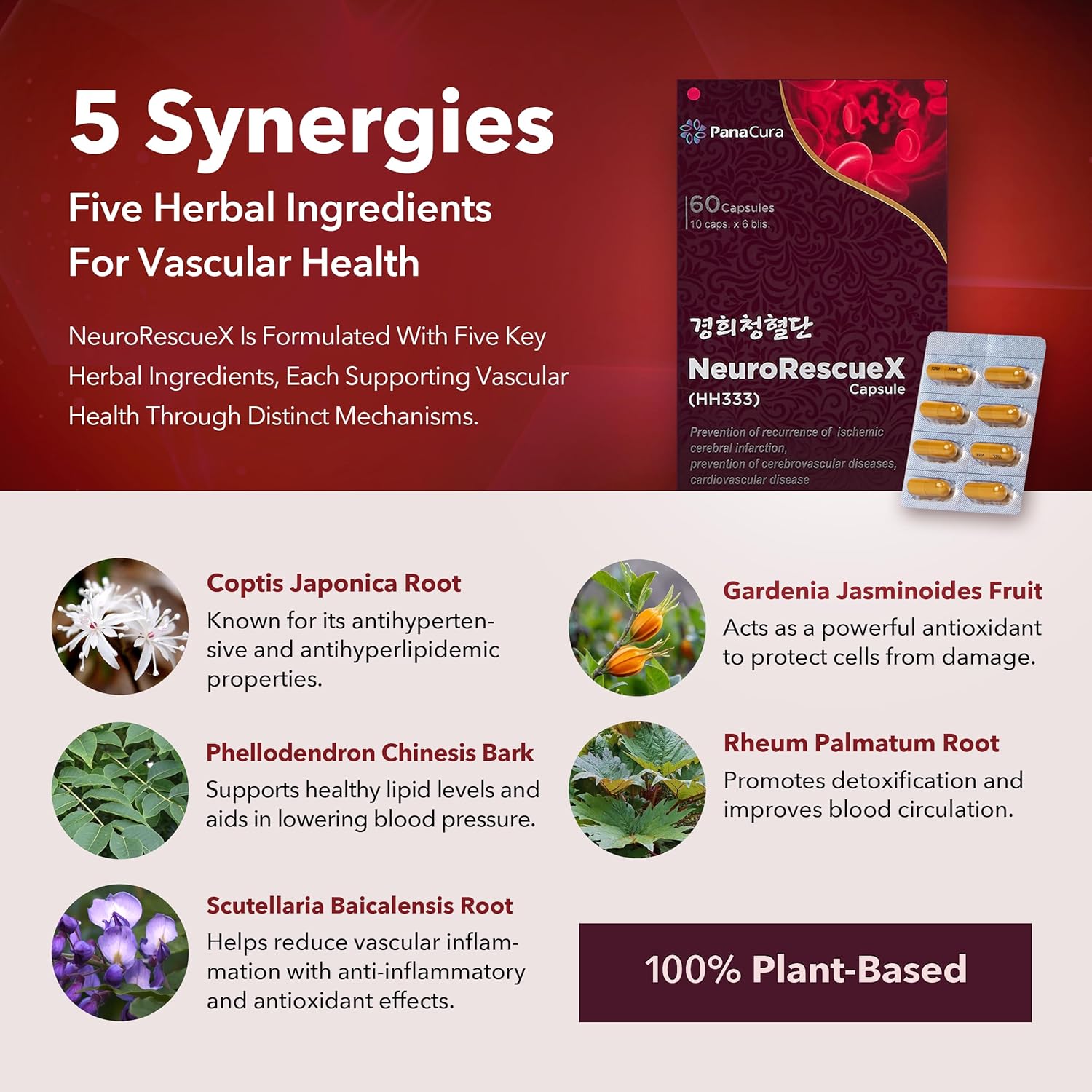 HH333 – Herbal Brain & Heart Health Supplement Antioxidant, Circulation & Cholesterol Support Cognitive Focus & Vascular Wellness Formula (30 Capsules)