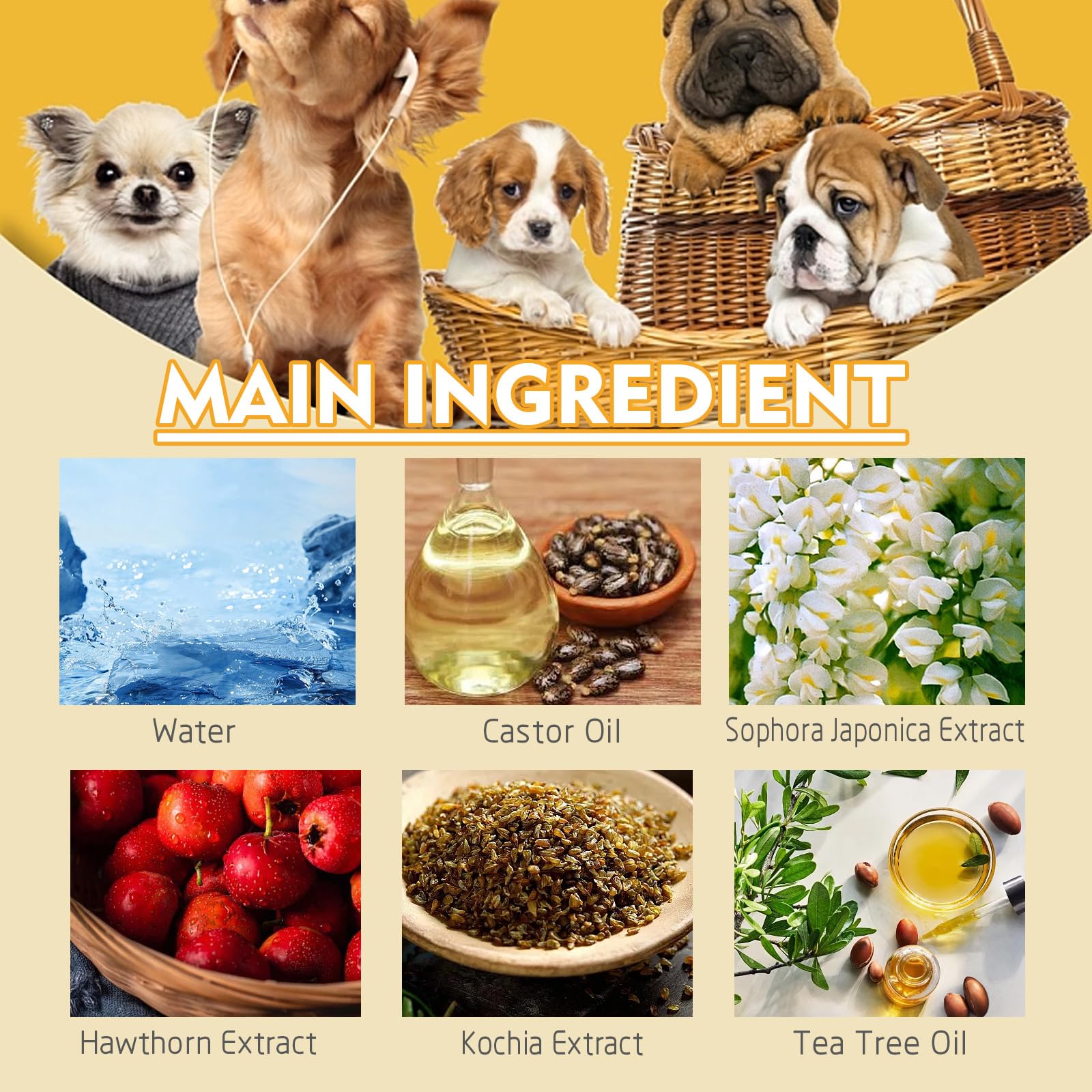 Éliminateur de Verrues pour Chiens, Dissolvant Naturel pour Chien, Traitement Efficace des Verrues pour Chiens, Naturel et Doux, 20 ml
