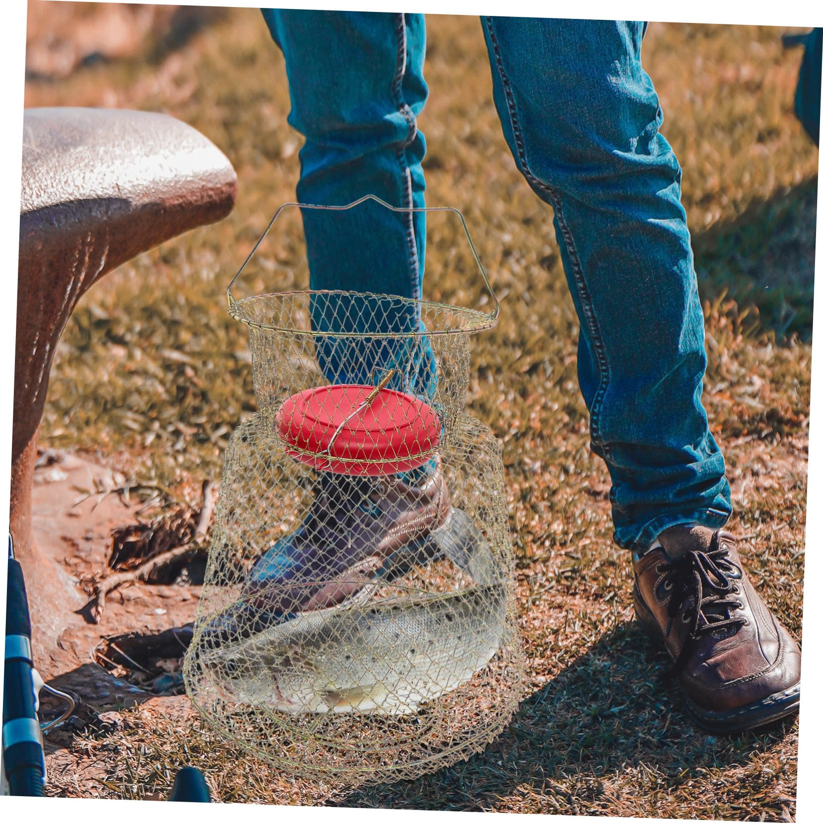 Jaula de Hierro para Atrapar Peces con Cuenco Flotante Dorado