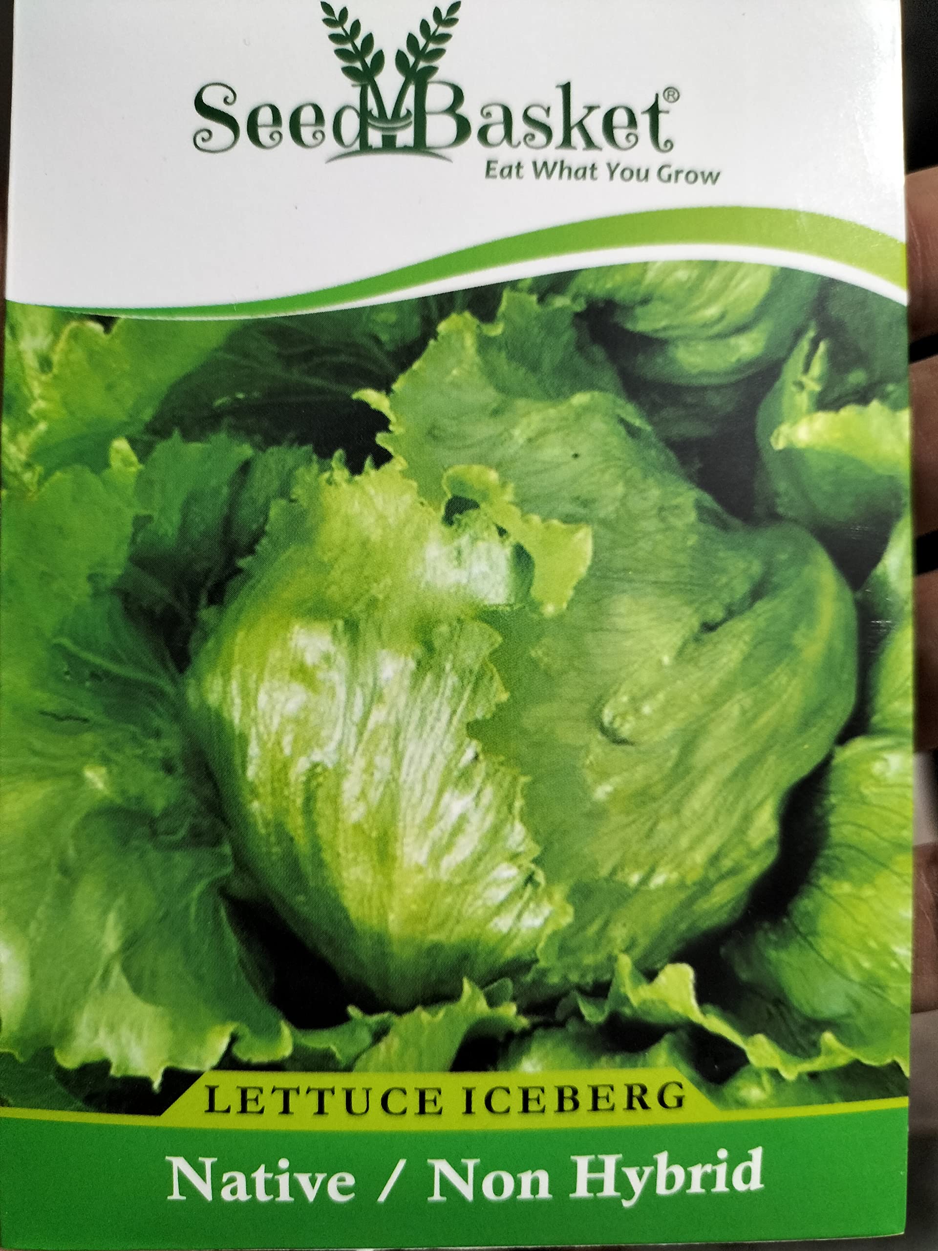 Exotic Lettuce Iceberg Seeds for Home Gardening (400 Seeds with More than 70% Germination) And Instruction Manual (B09D3P9HBP) Amazon Price History, Amazon Price Tracker