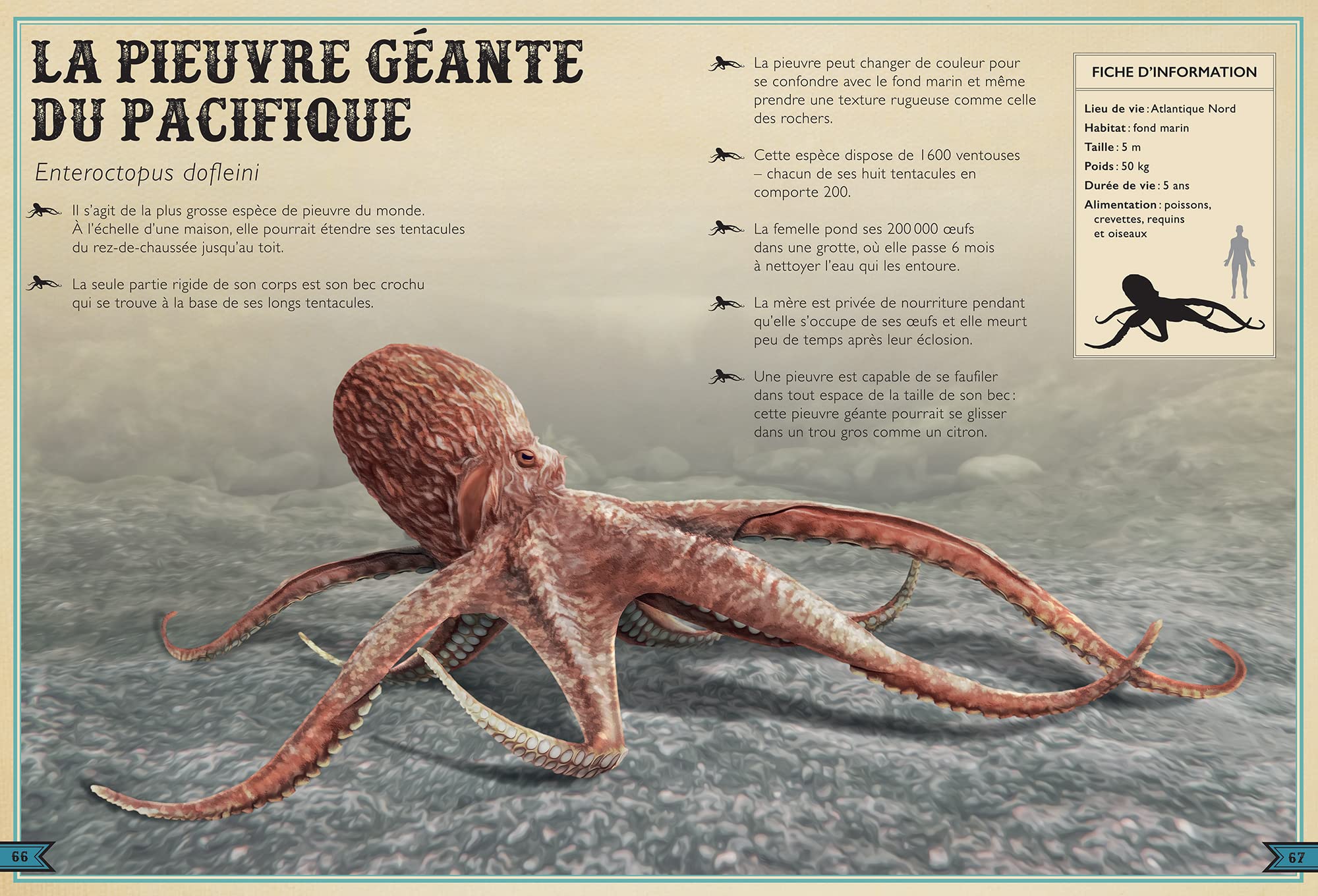 Le Livre extraordinaire des animaux des océans