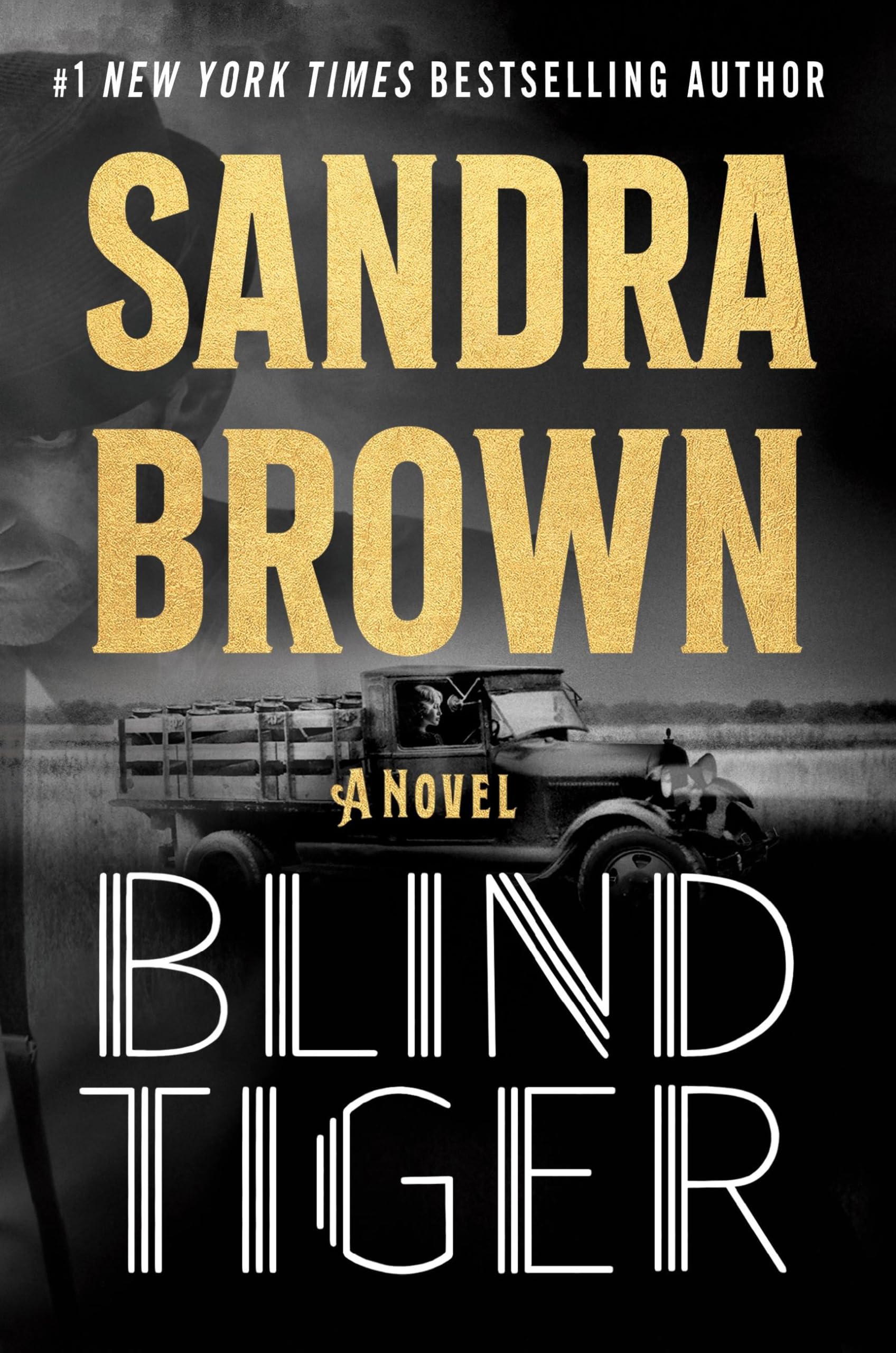 Cover of Blind Tiger