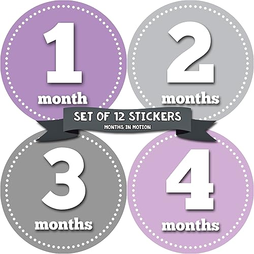 Pegatinas mensuales para bebés Pegatinas de hitos para recién nacidos Pegatinas de mes para bebés Pegatinas de bebé Pegatinas mensuales para