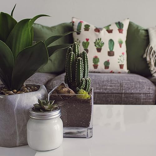 Miniatura 3 de WGV - Jarrón de vidrio en forma de cubo, portavelas, 8 x 8 x 8 pulgadas, transparente y elegante, contenedor de decoración floral para decoración de