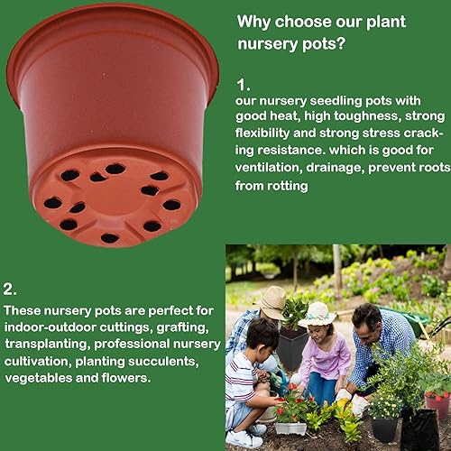 Miniatura 5 de Macetas de plástico para plantas de semillero, 3 pulgadas, 100 unidades, contenedor de plantas de flores, maceta de inicio para suculentas al aire