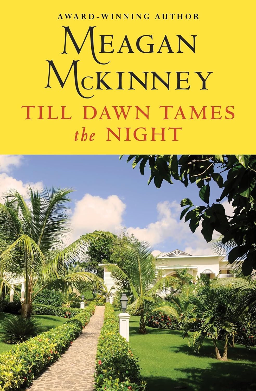 Till Dawn Tames the Night      Kindle Edition