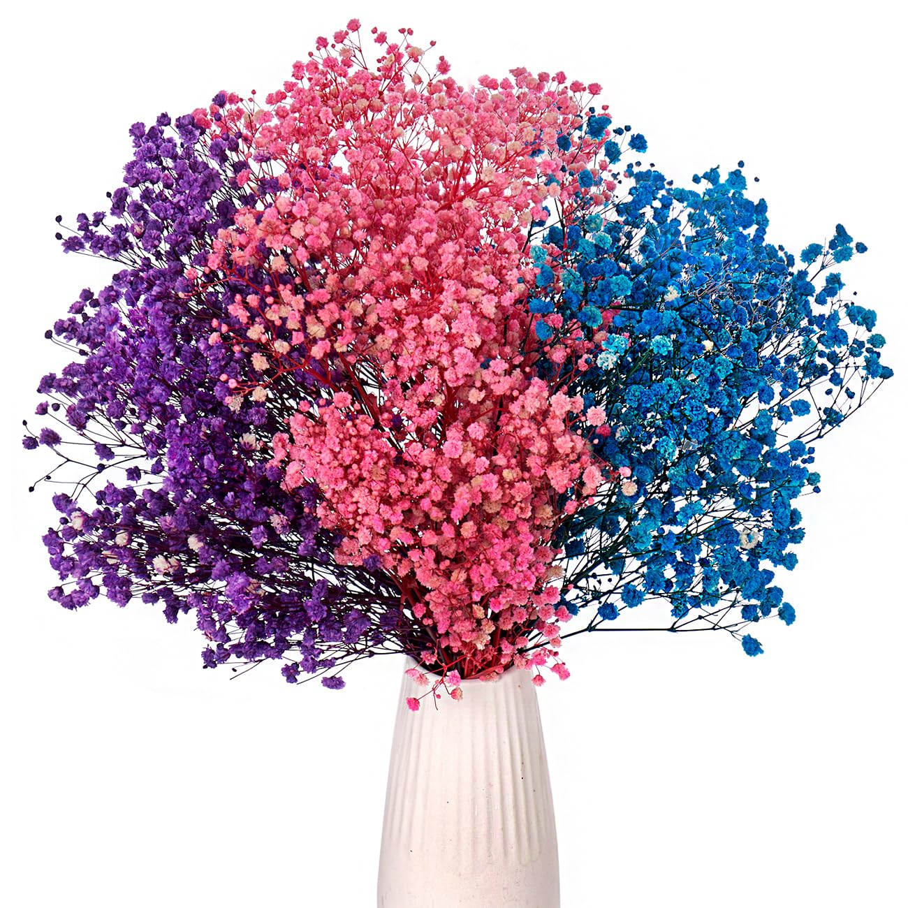 Gipizi Dried Baby's Breath Multicolor