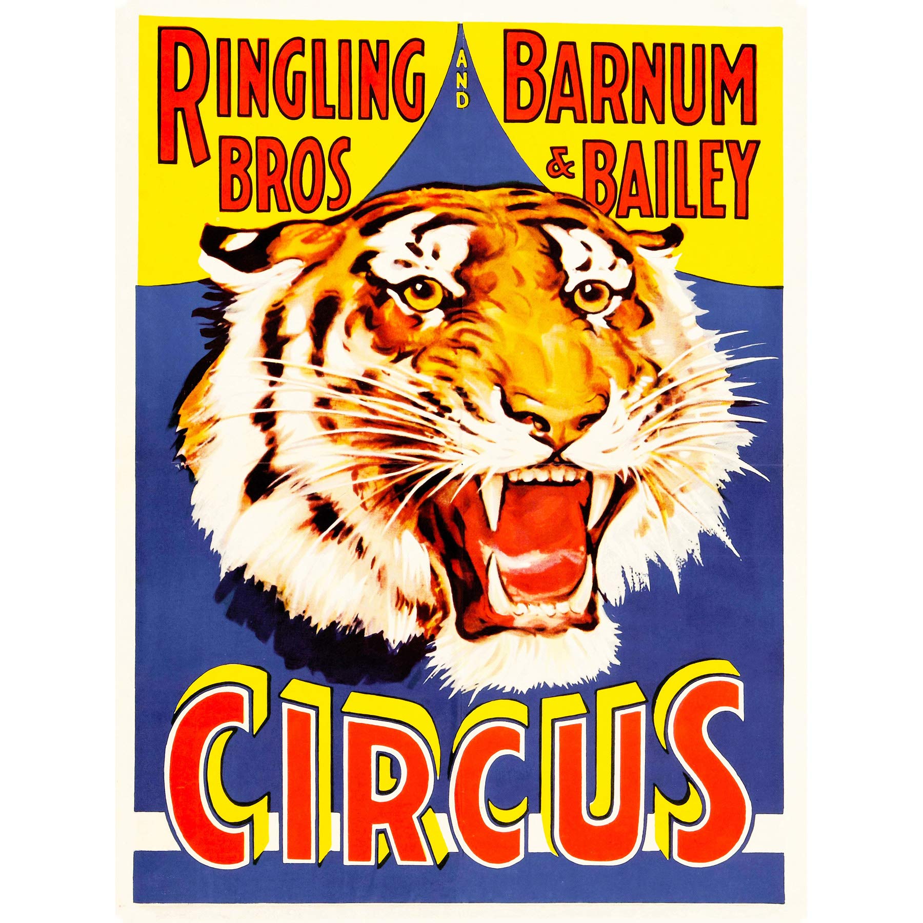 Wee Blue CooAdvertising Exhibition Circus Barnum Bailey Ringling Bros Tiger USA Canvas Print
