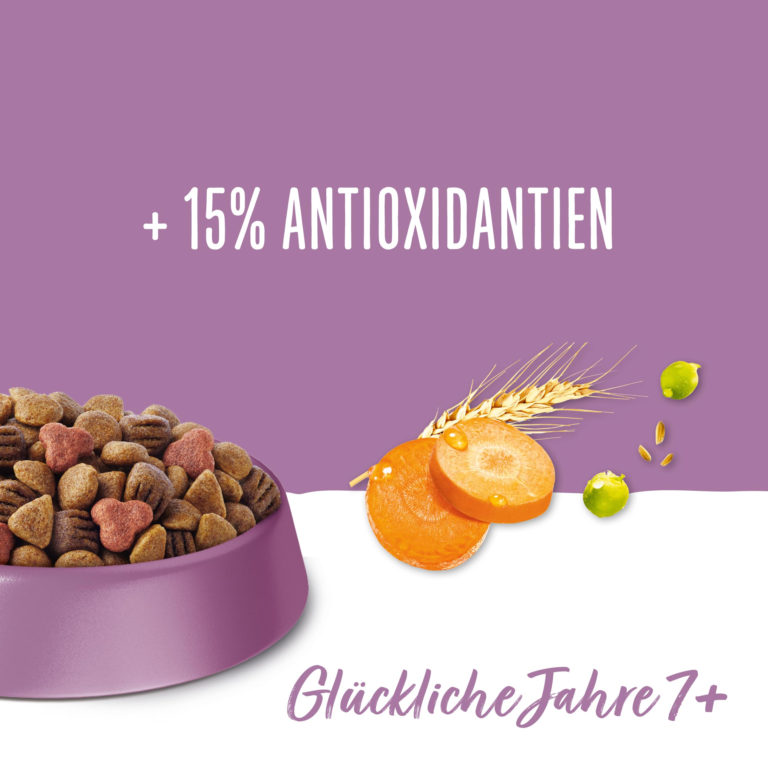 Beneful Glückliche Jahre 7+ Senior Hundefutter trocken, mit Huhn und Gartengemüse, 1er Pack (1 x 12kg)