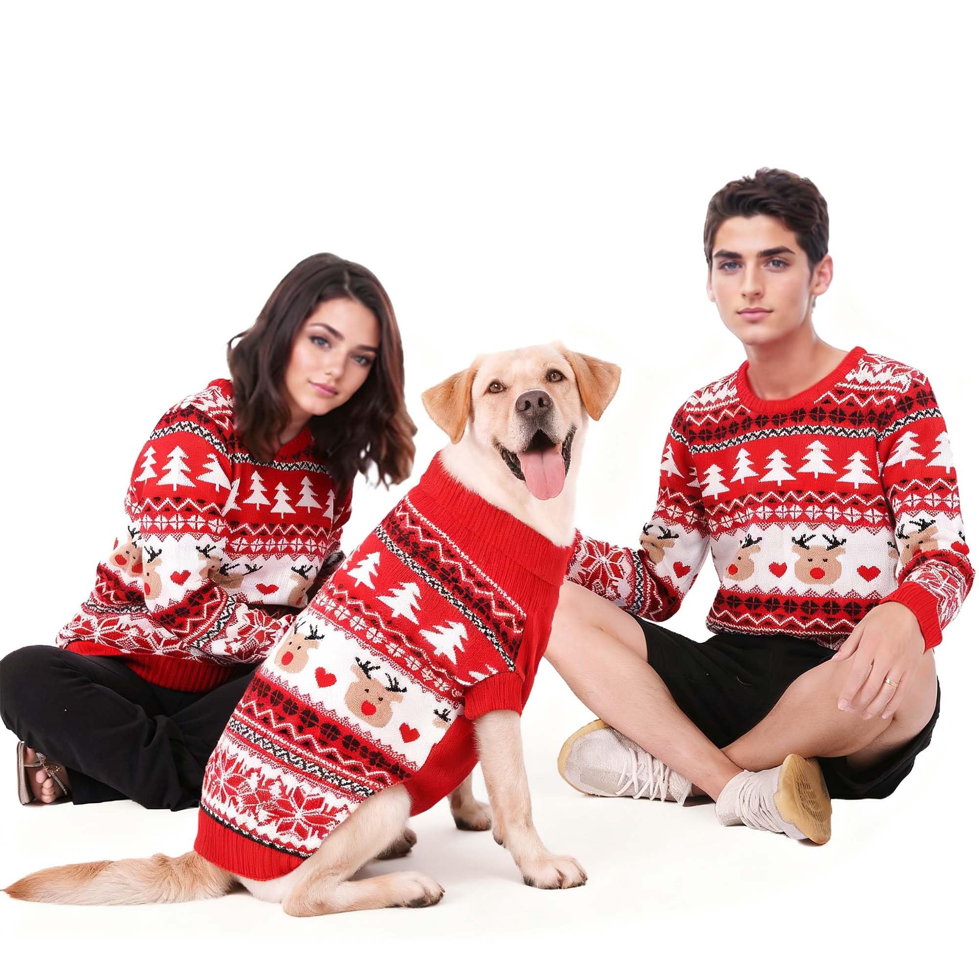 MuYaoPet Family Matching Dog and Owner Clothes Outfits,Christmas Pet Cat Sweater Costume for Small Medium Extra Large Dogs/Women/Men (Only for Human,
