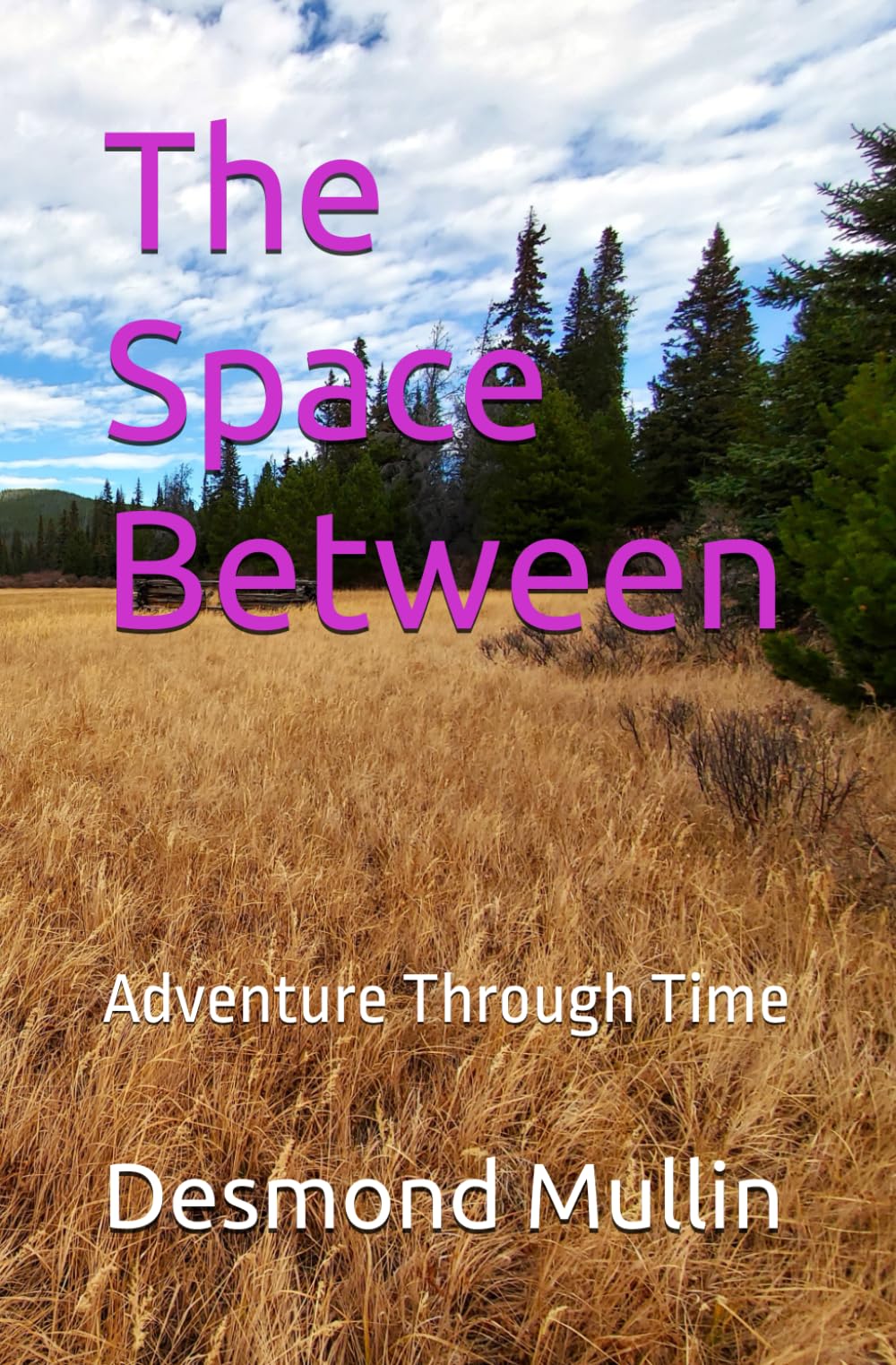 The Space Between: Adventure Through Time