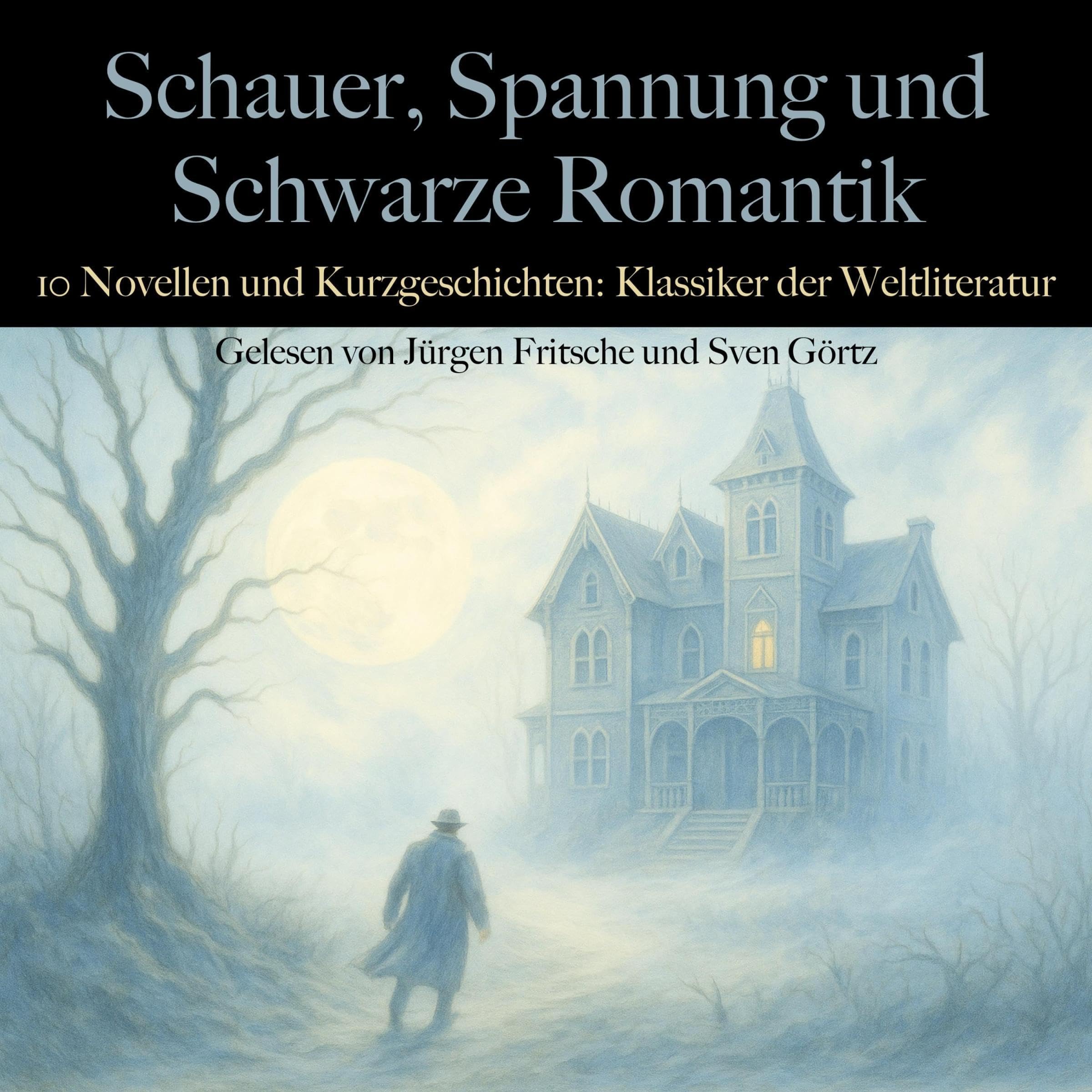 Cover art for Schauer, Spannung und Schwarze Romantik - 10 Novellen und Kurzgeschichten