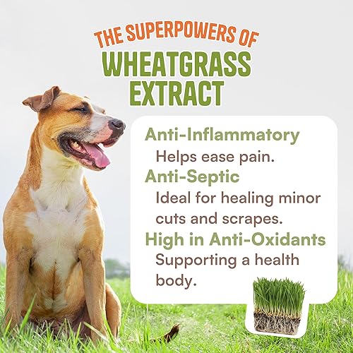 Miniatura 3 de Bálsamo de mantequilla de patas para perros – Bálsamo de perro para patas y nariz | Crema de patas para patas de perro agrietadas | Cosas de perros