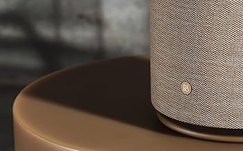 【値下げ済】 Bang and Olufsen （B&O） Beoplay M5 Buy Bang-Olufsen Beoplay M5 Bluetooth Speakers Online in