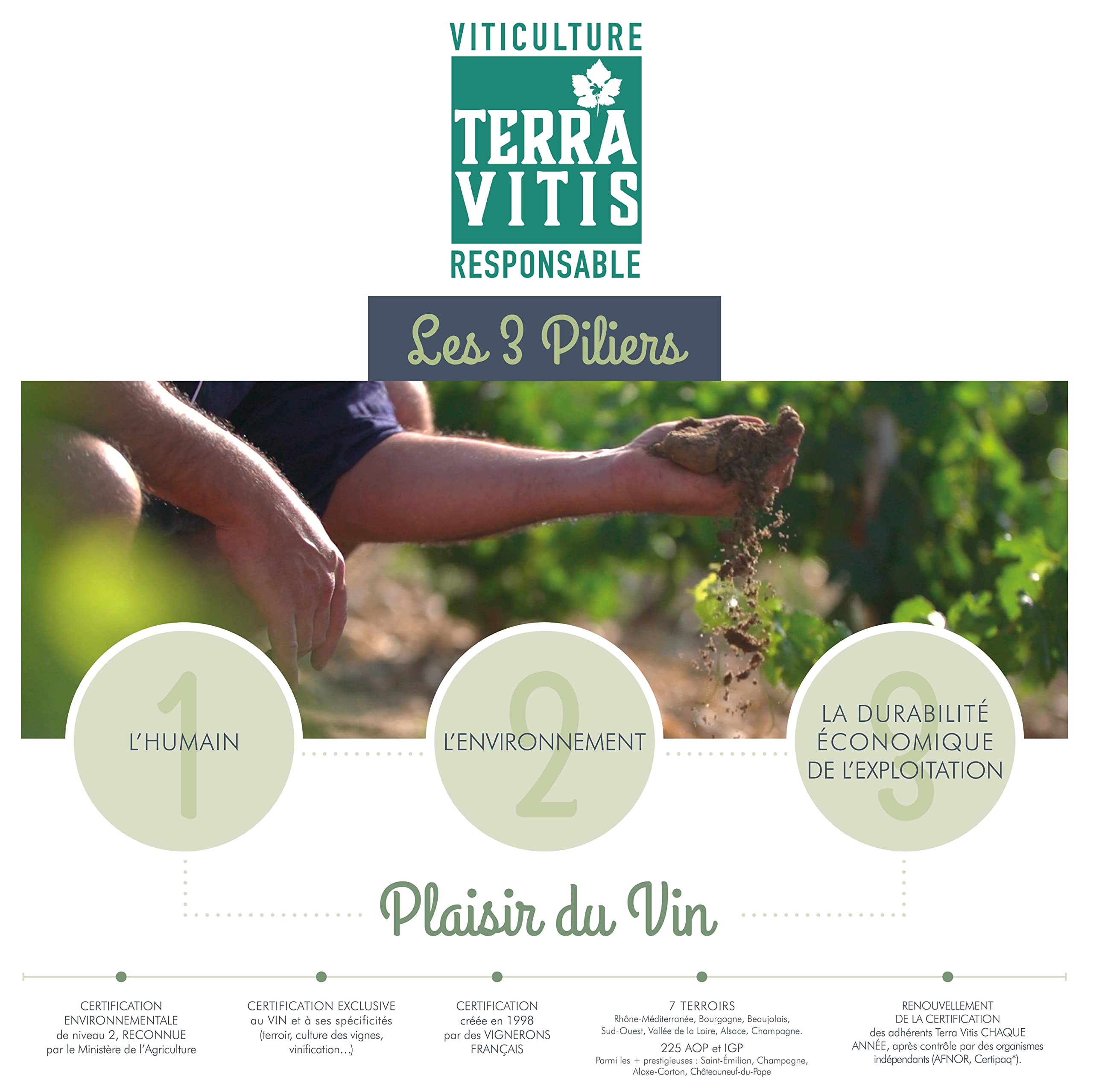Les Accords de Roche Mazet - Garnacha Pinot Noir - IGP Pays d'Oc - Vino Rosado - Terra Vitis - 6 botellas x 75 cl