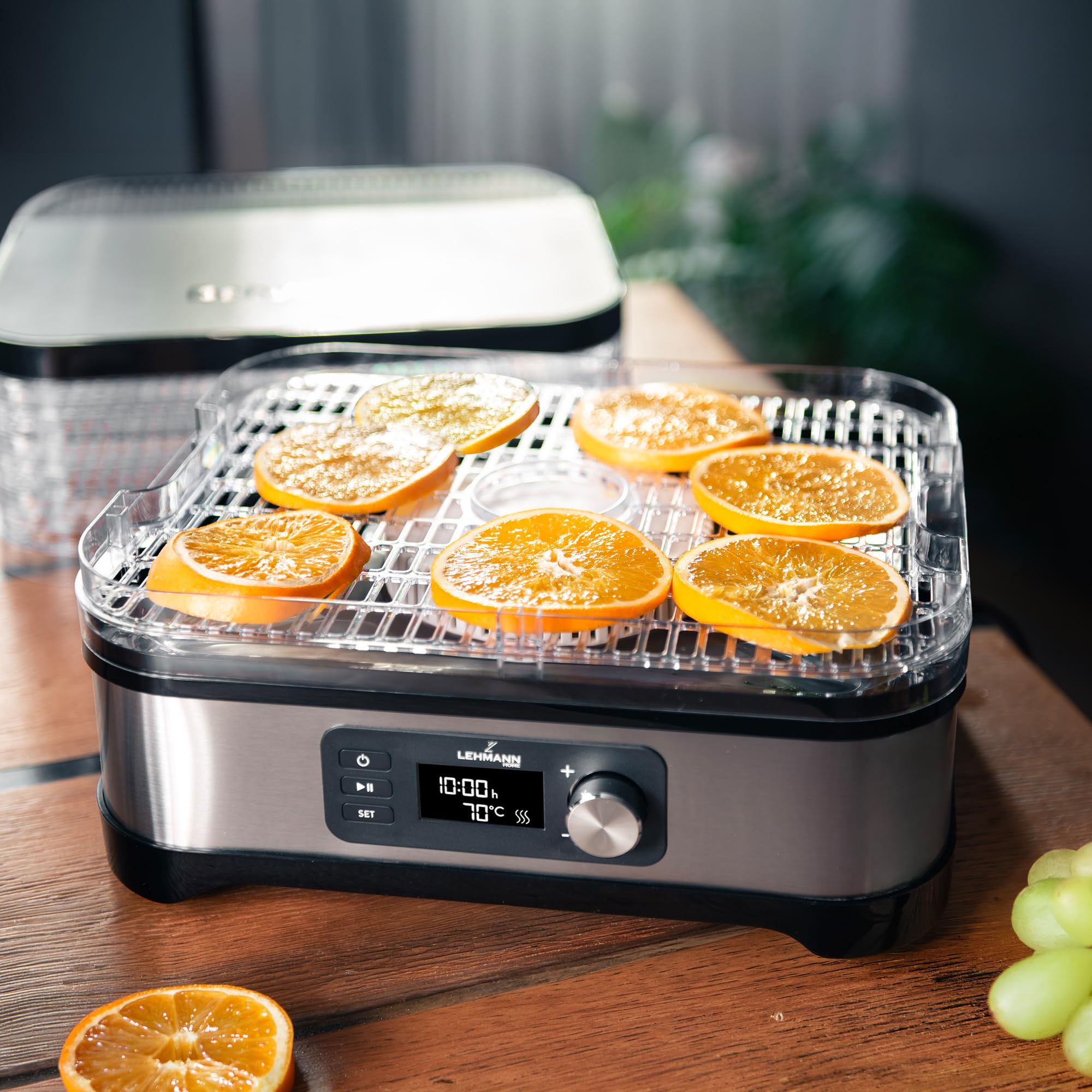 LEHMANN Déshydrateur Alimentaire en Acier Inoxydable, 450 W, 5 Plateaux Réglables en Hauteur, Température Réglable 35-70°C, Minuterie 24 h, sans BPA, pour Champignons, Fruits, Légumes