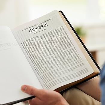 RSV2CE, Thinline Large Print Catholic Bible, Brown