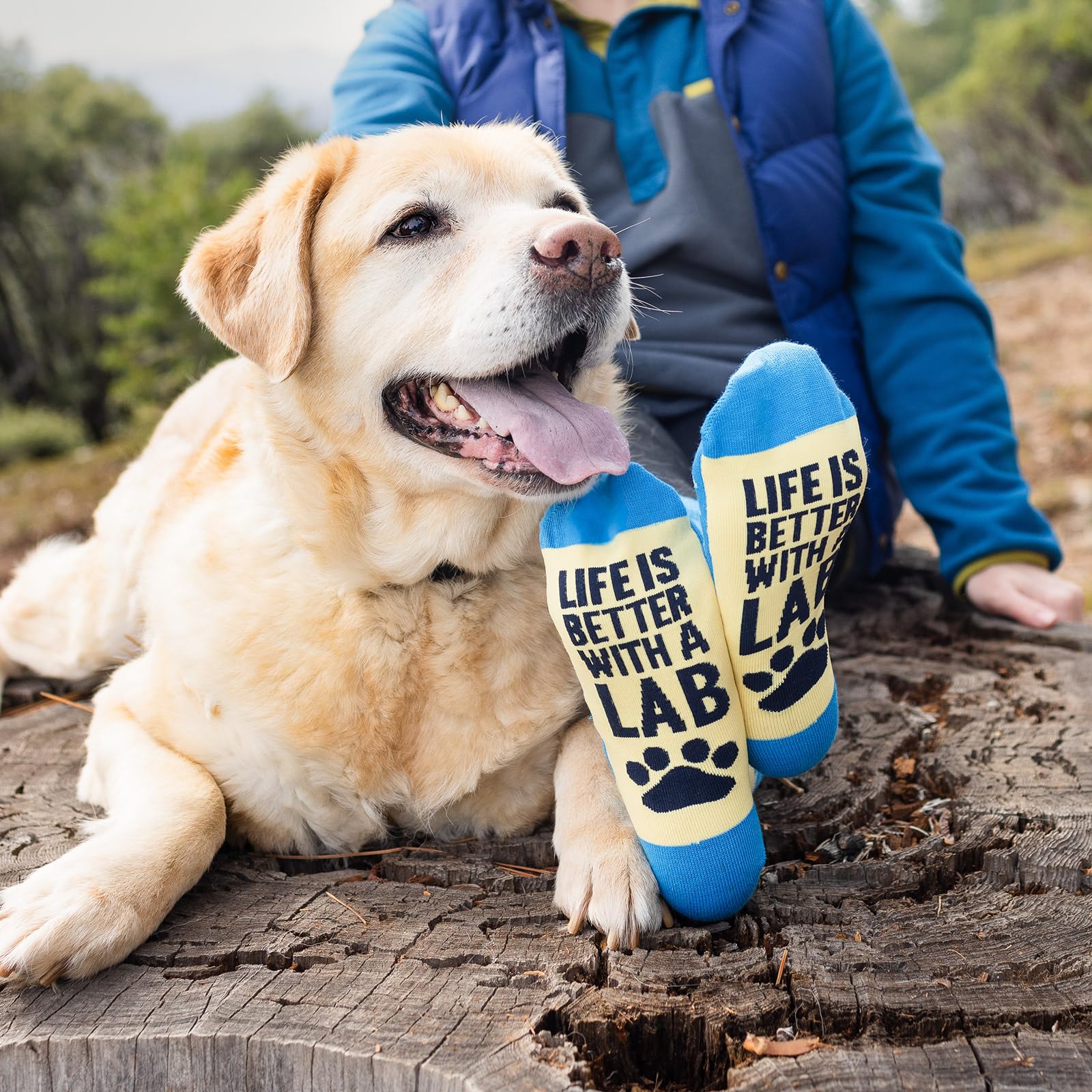 Lavley Dog Owner Socks - Funny Pet Gift Socks for Dog Moms and Dads - Great Gift for Dog Lovers, Birthdays, Daily Wear