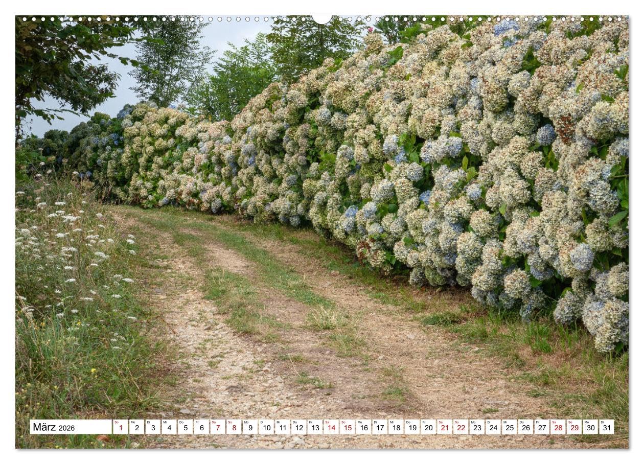 Unterwegs - Camino Primitivo. Zu Fuß auf der ältesten Route des Jakobsweges (Wandkalender 2026 DIN A2 quer), CALVENDO Monatskalender: Auf dem ... nach Santiago de Compostela (CALVENDO Orte)