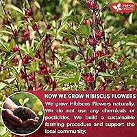 Vista 5 de FreshDrinkUS, Premium 28oz Hibiscus Flower Powder, 100% Natural and Pure from Hibiscus Flowers, Natural Food Coloring, No Additives, No Gluten, No