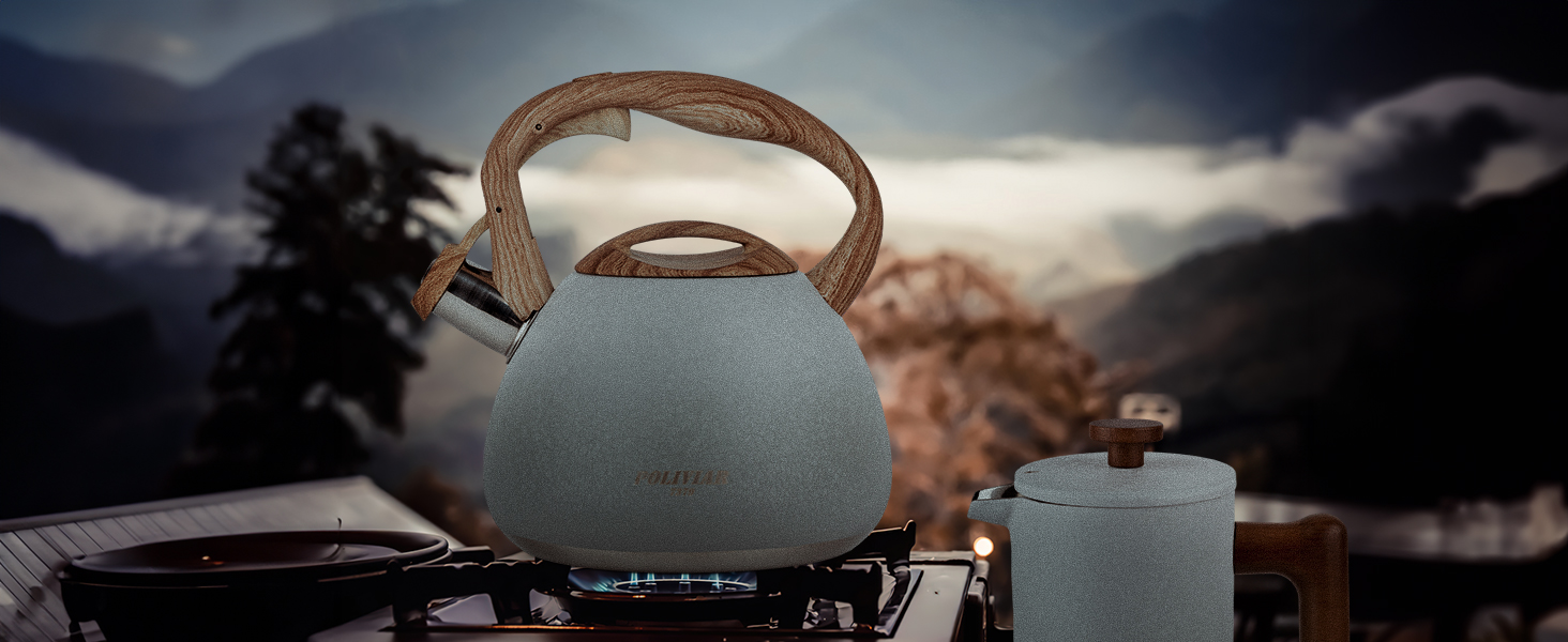 Amazon.com: POLIVIAR Tea Kettle, 2.7 Quart Stovetop Tea Kettle